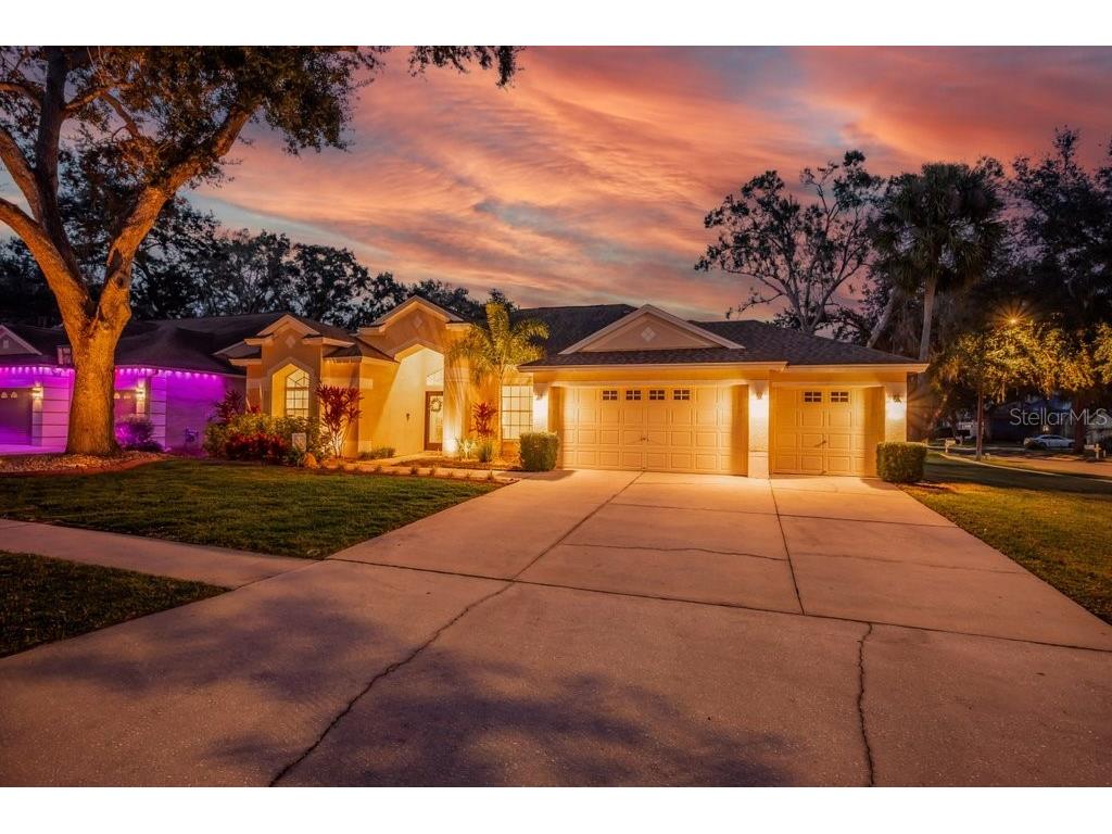 12537 River Birch Drive Riverview FL 33569 TB8466521 image41