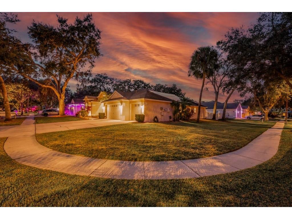 12537 River Birch Drive Riverview FL 33569 TB8466521 image42