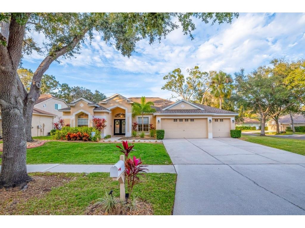 12537 River Birch Drive Riverview FL 33569 TB8466521 image45