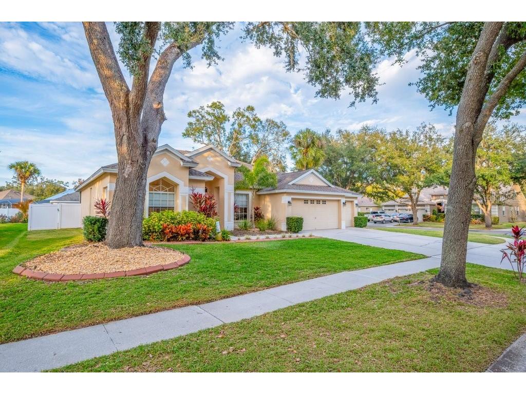 12537 River Birch Drive Riverview FL 33569 TB8466521 image51