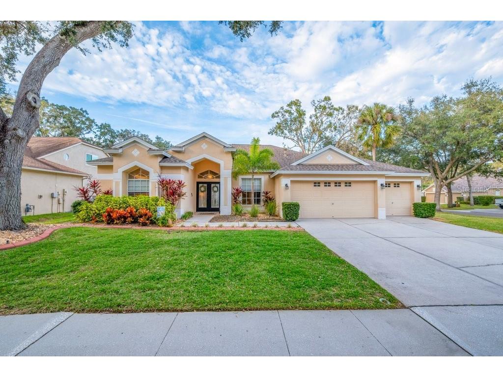 12537 River Birch Drive Riverview FL 33569 TB8466521 image52