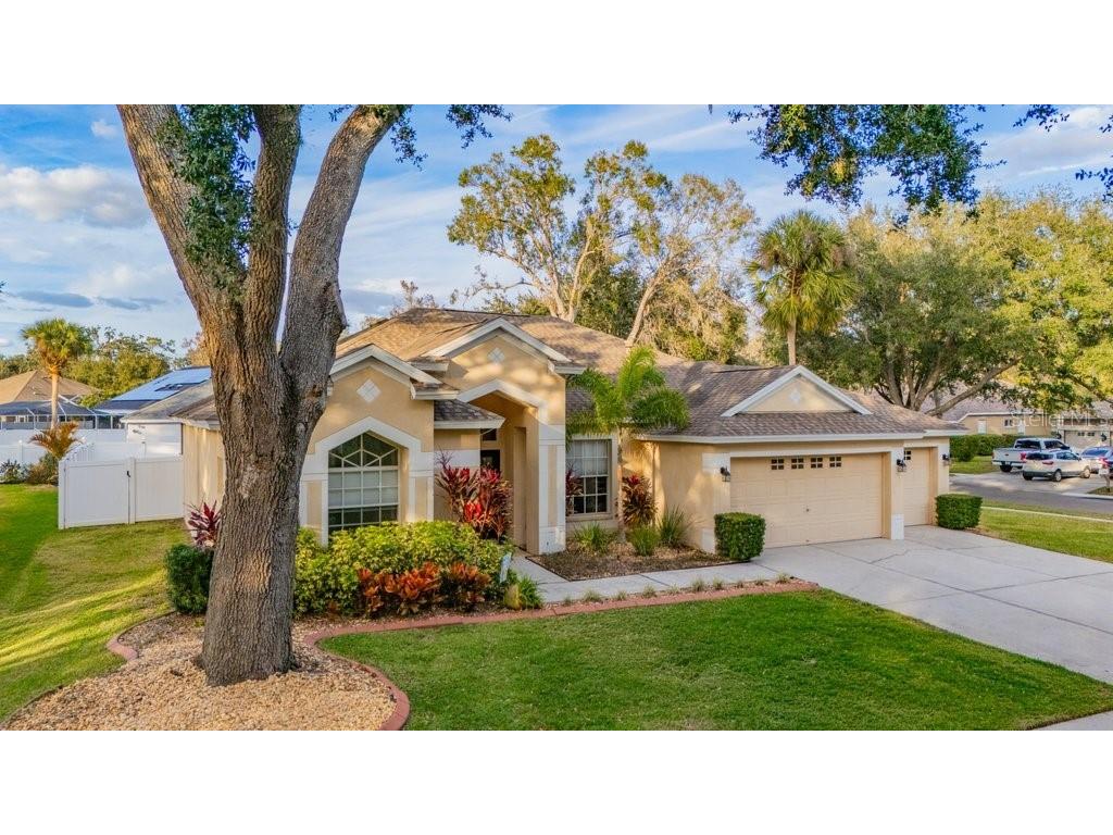 12537 River Birch Drive Riverview FL 33569 TB8466521 image56