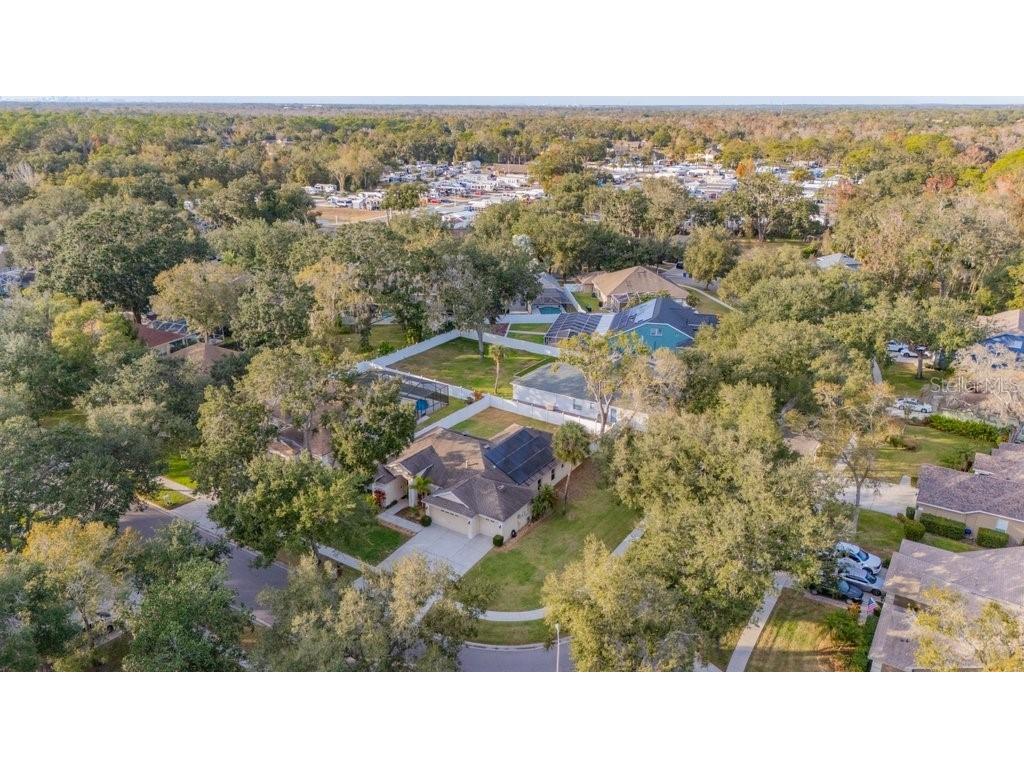 12537 River Birch Drive Riverview FL 33569 TB8466521 image58