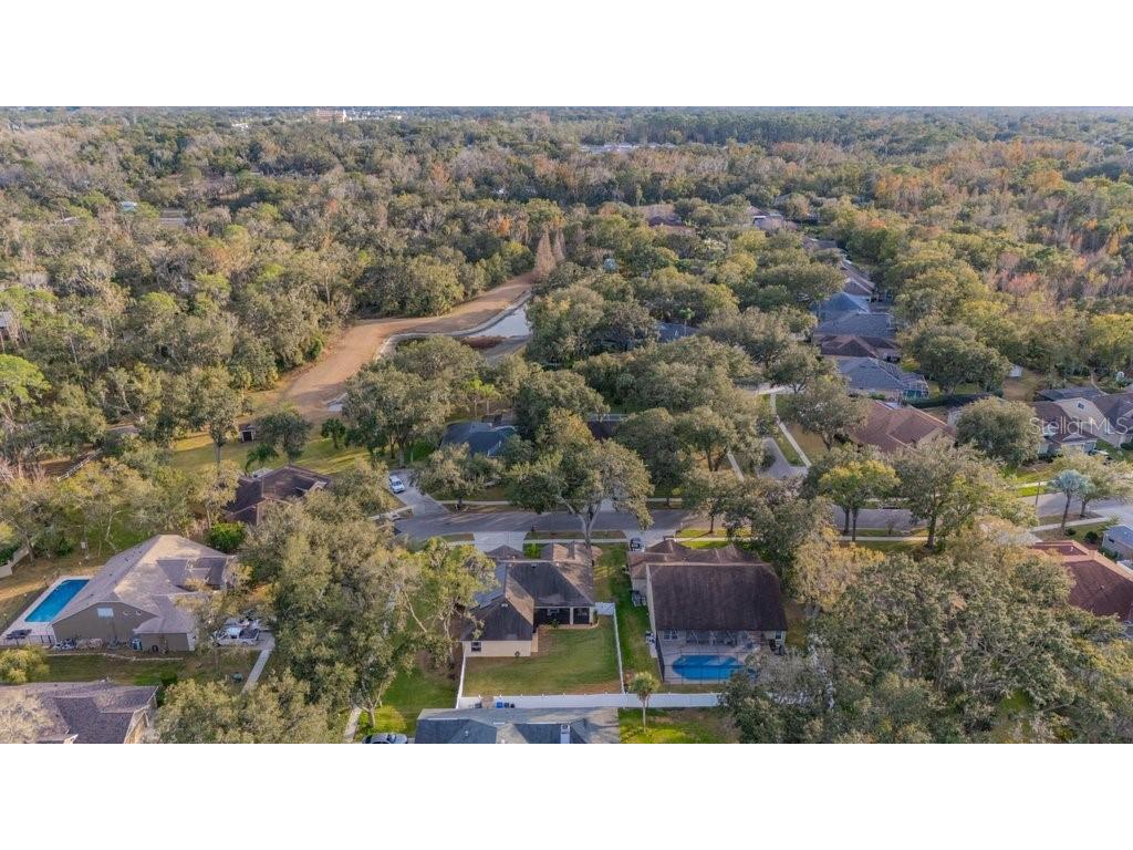 12537 River Birch Drive Riverview FL 33569 TB8466521 image61