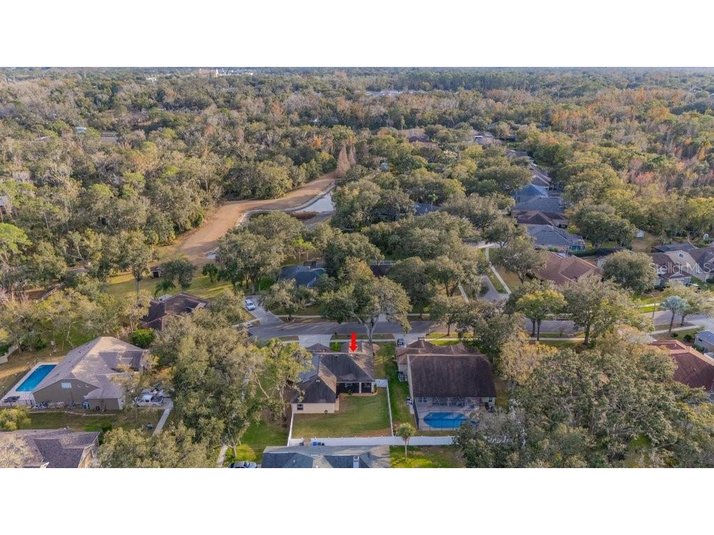 12537 River Birch Drive Riverview FL 33569 TB8466521 image62