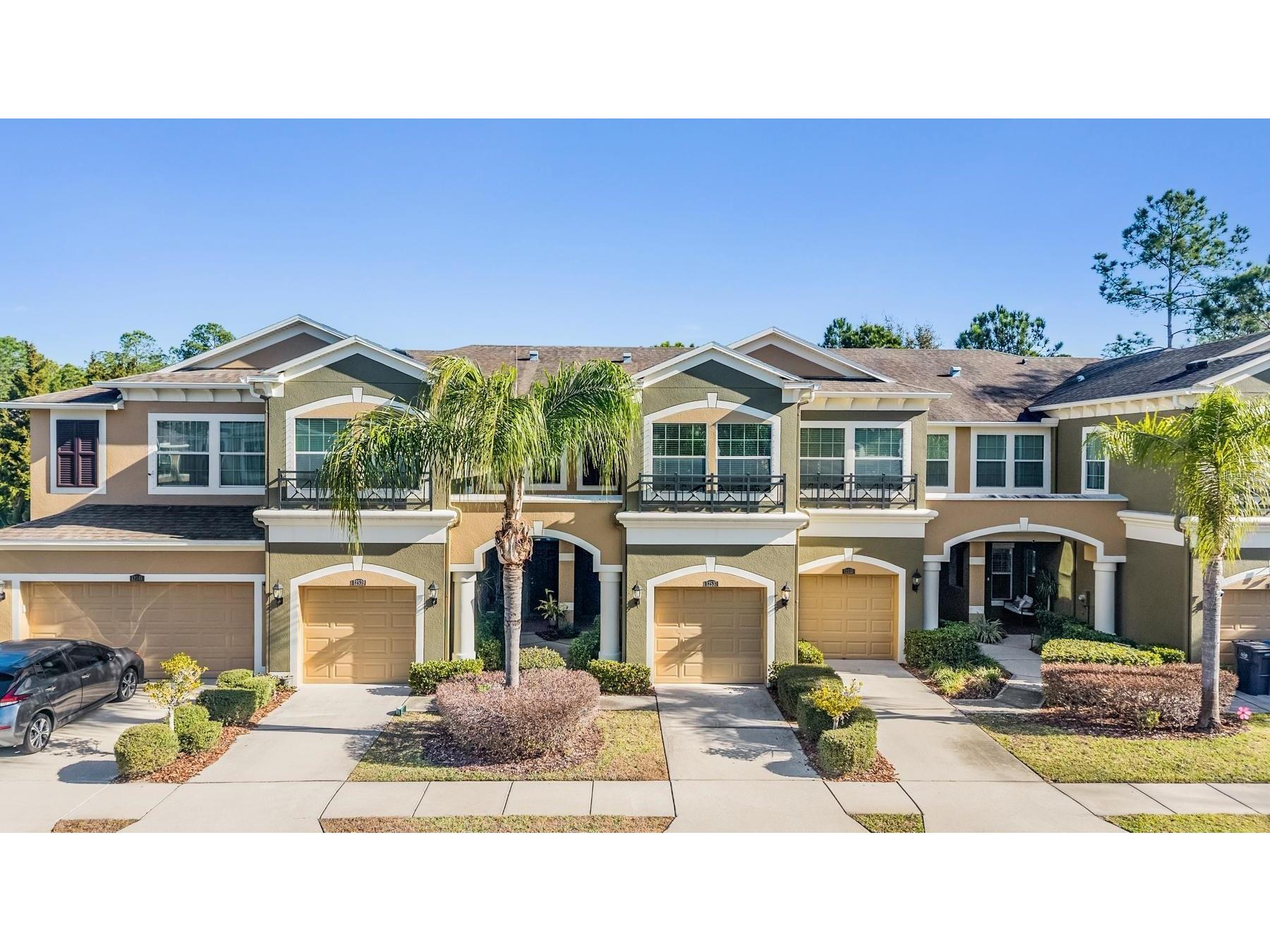 12537 Silverdale Street Tampa FL 33626 TB8477653 image1