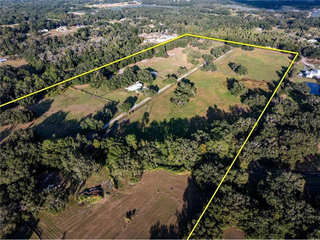 12537 Tomar Drive Thonotosassa FL 33592 TB8445951 image4