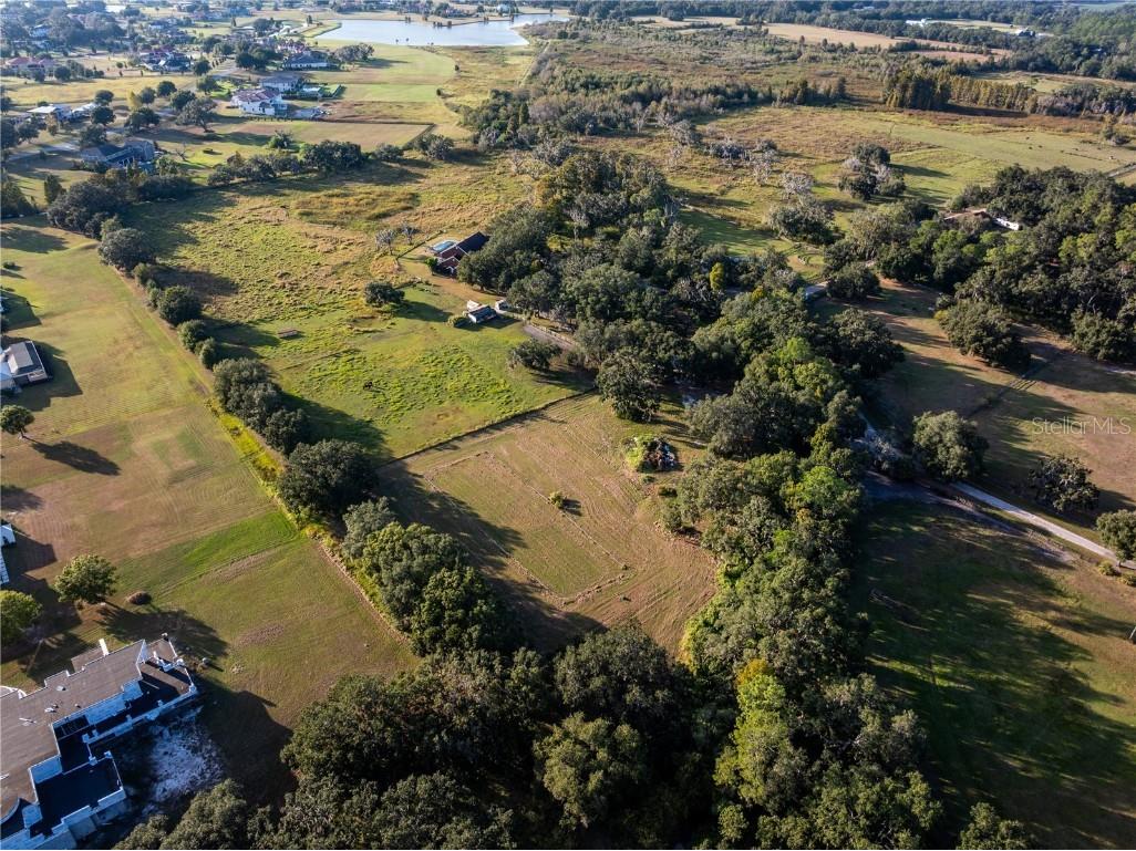 12537 Tomar Drive Thonotosassa FL 33592 TB8447911 image6