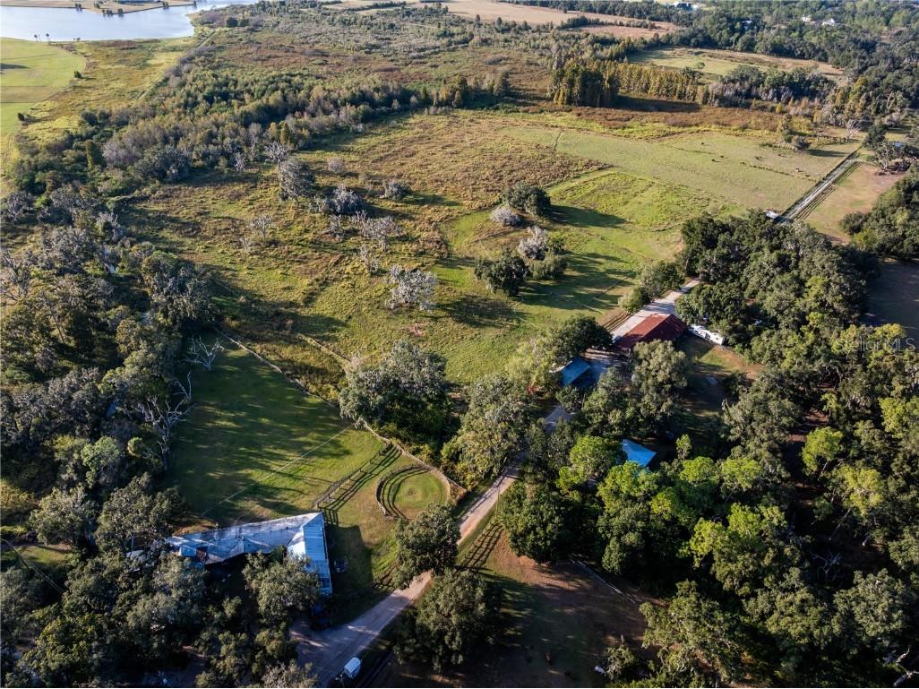 12537 Tomar Drive Thonotosassa FL 33592 TB8447911 image8