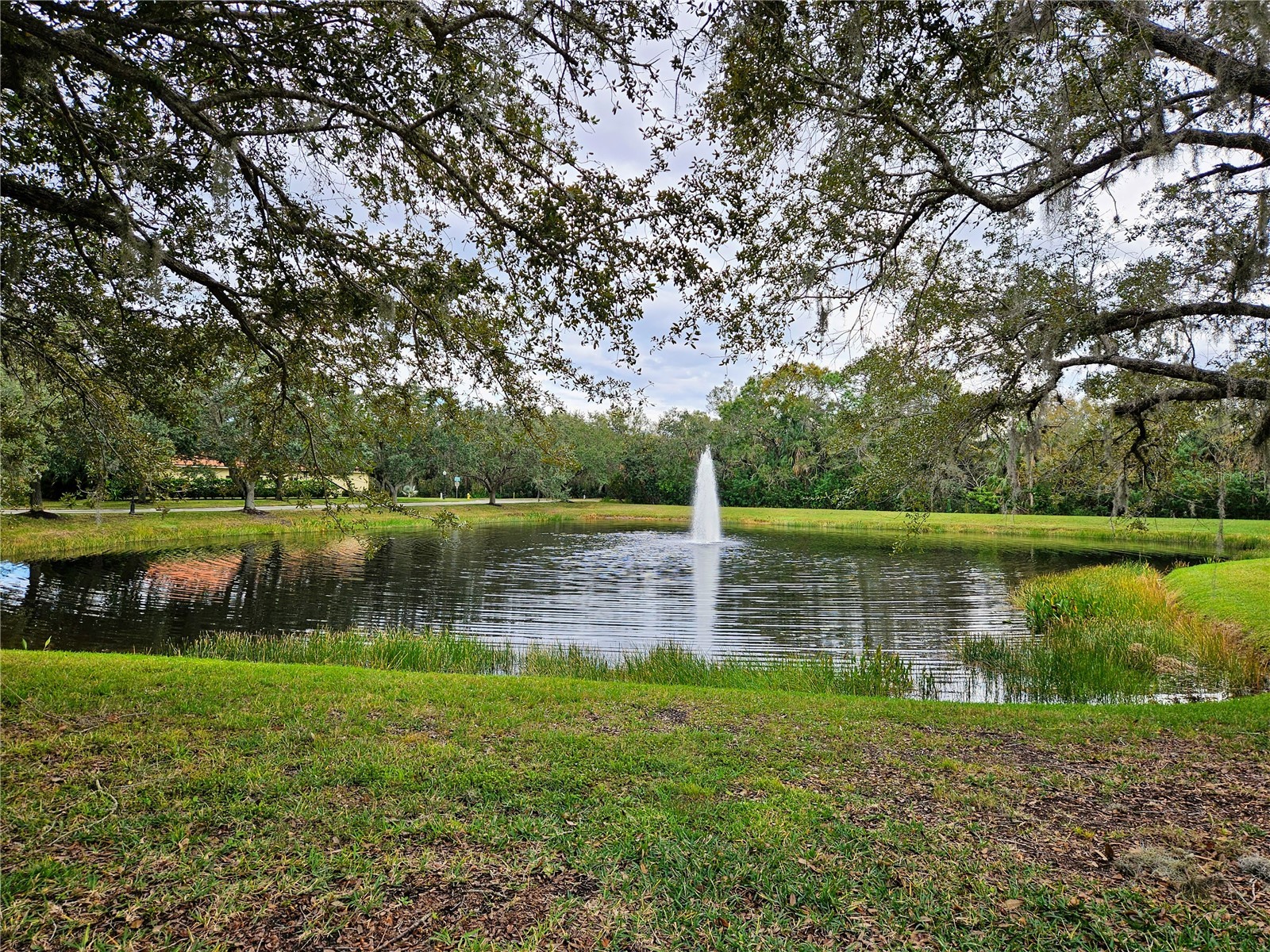 12538 Cara Cara Loop Bradenton FL 34212 TB8492068 image51