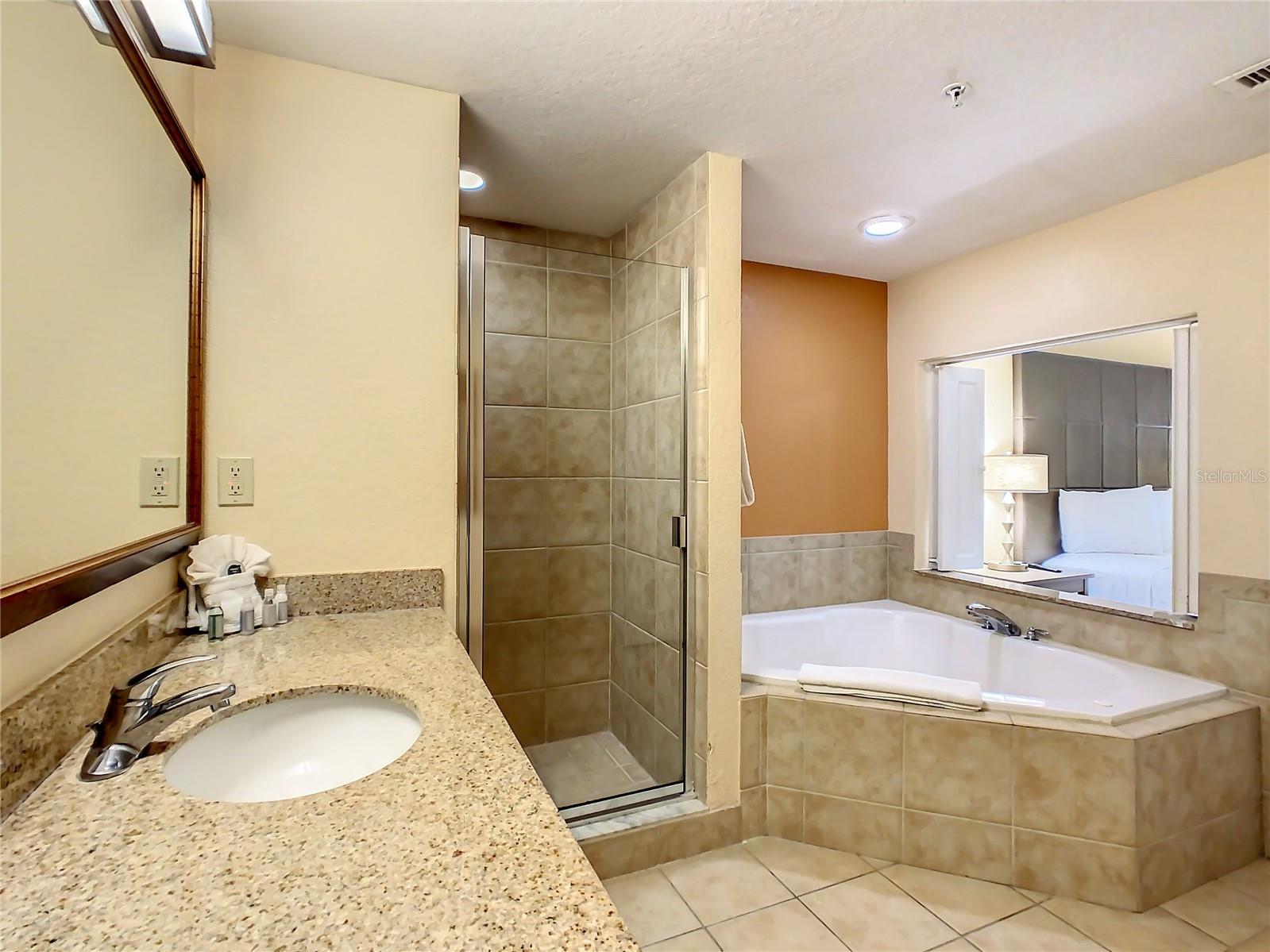 12538 Floridays Resort Dr #C-211 Orlando FL 32821 S5110186 image26