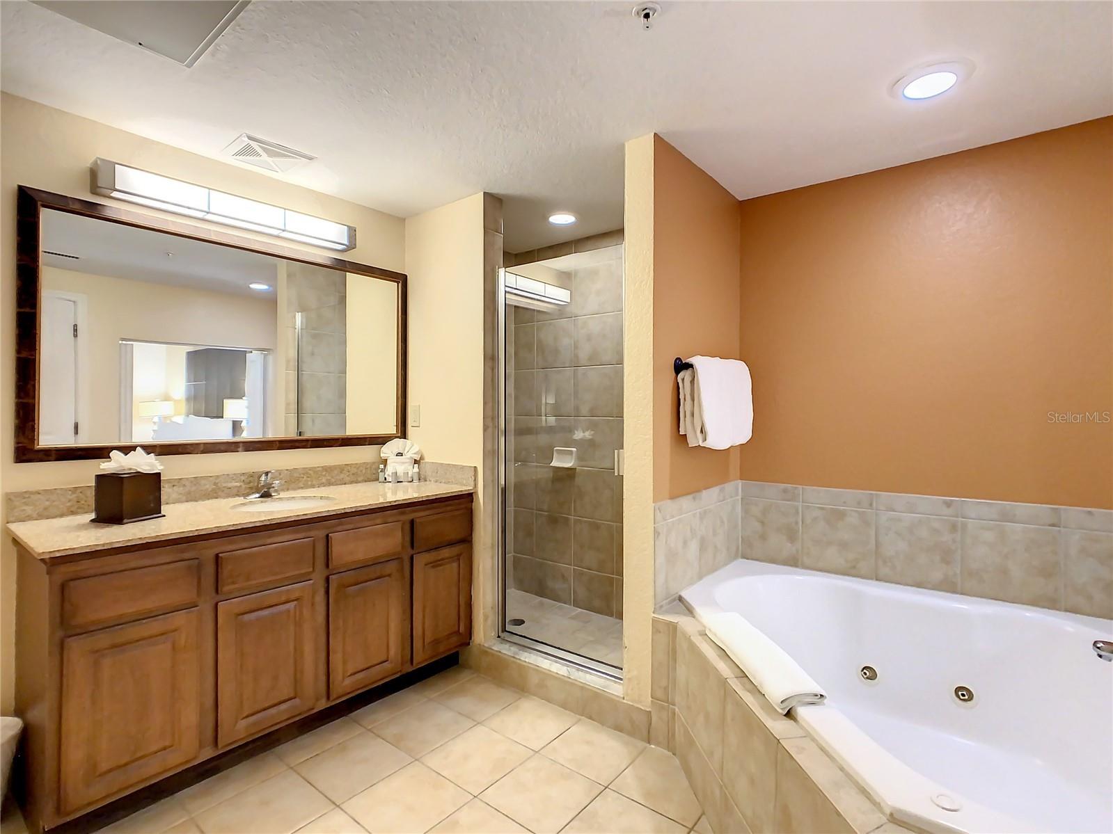 12538 Floridays Resort Dr #C-211 Orlando FL 32821 S5110186 image28