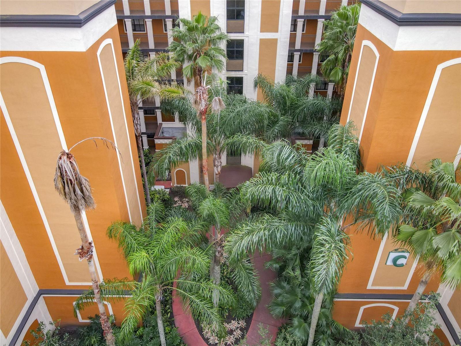 12538 Floridays Resort Dr #C-211 Orlando FL 32821 S5110186 image42