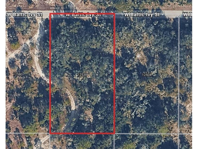 12538 W Baltic Ivy Street Crystal River FL 34428 OM714810 image1