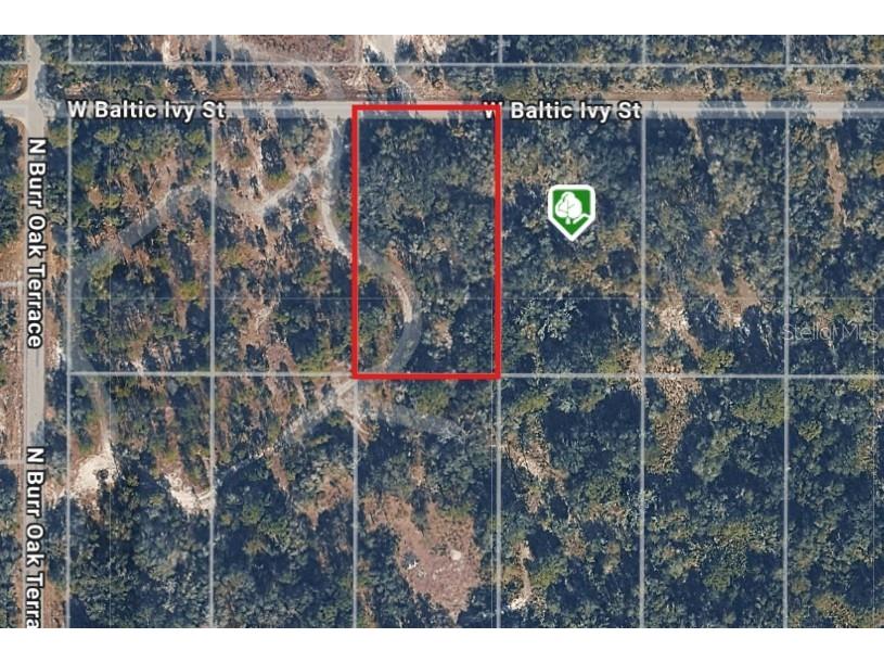 12538 W Baltic Ivy Street Crystal River FL 34428 OM714810 image2