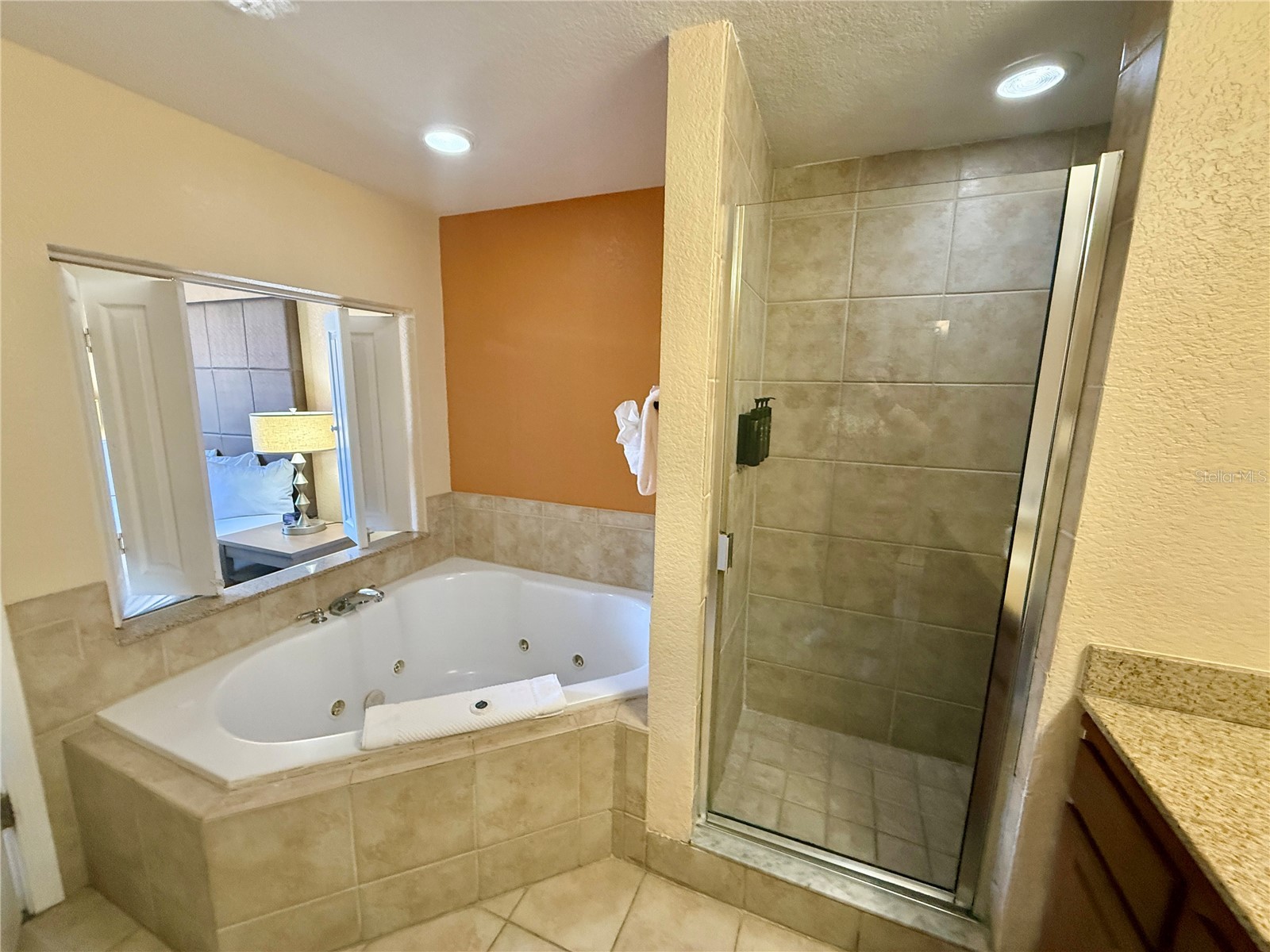 12539 Floridays Resort Drive #107D Orlando FL 32821 O6380557 image28