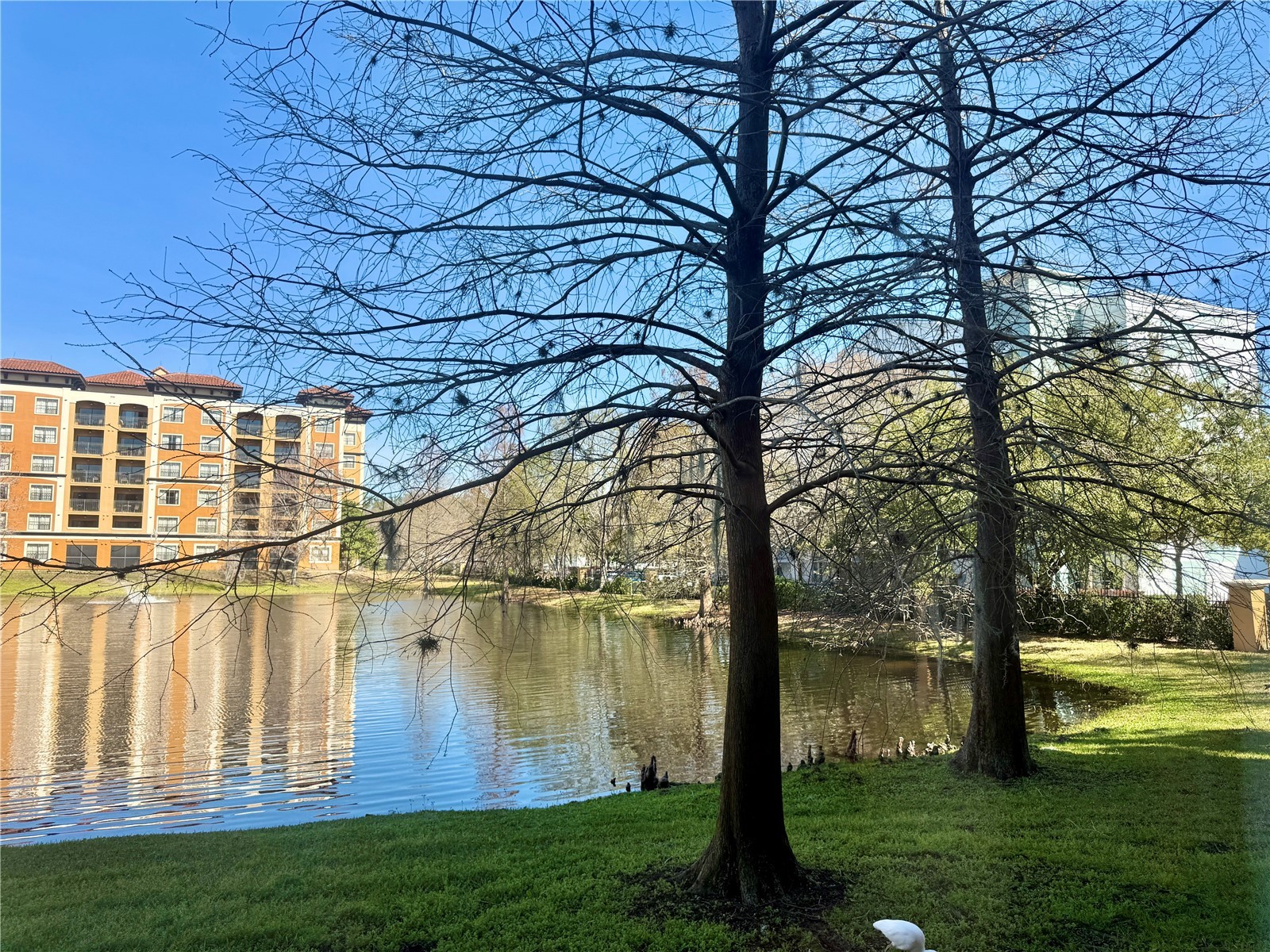 12539 Floridays Resort Drive #107D Orlando FL 32821 O6380557 image49
