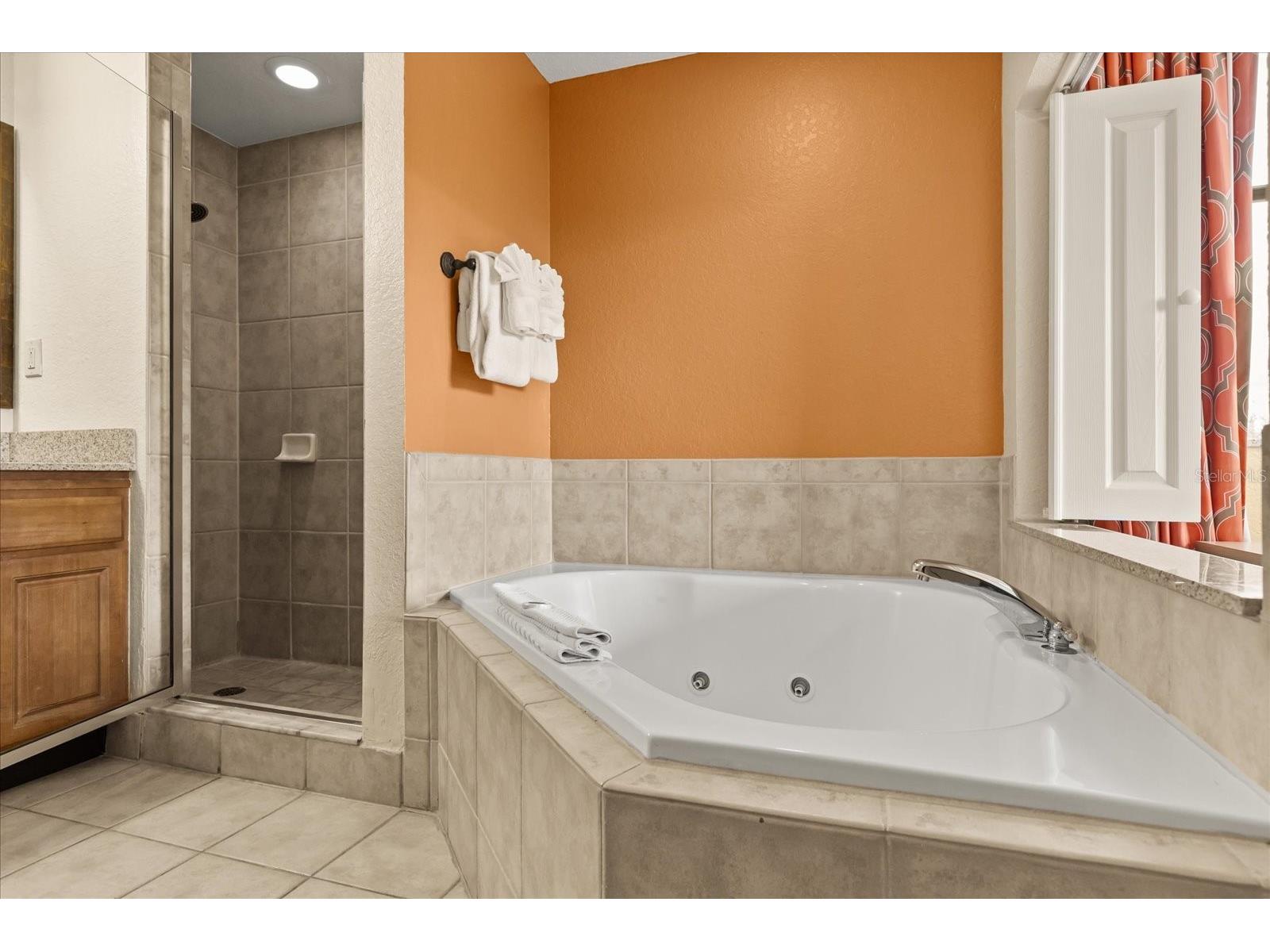 12539 Floridays Resort Drive #404D Orlando FL 32821 O6384466 image31