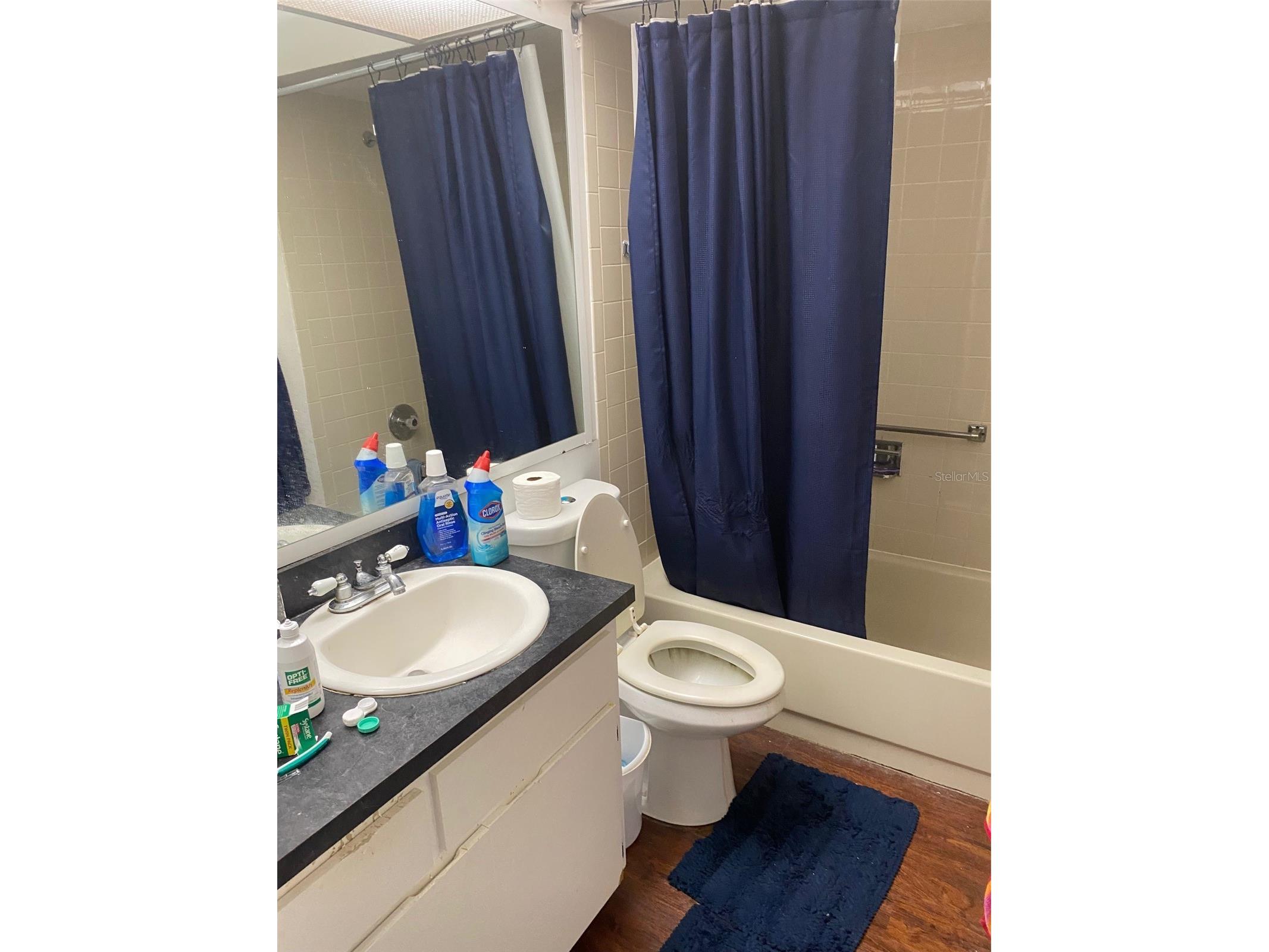 12539 Greylock Lane #12539 Hudson FL 34667 - Bear Creek W7885142 image11