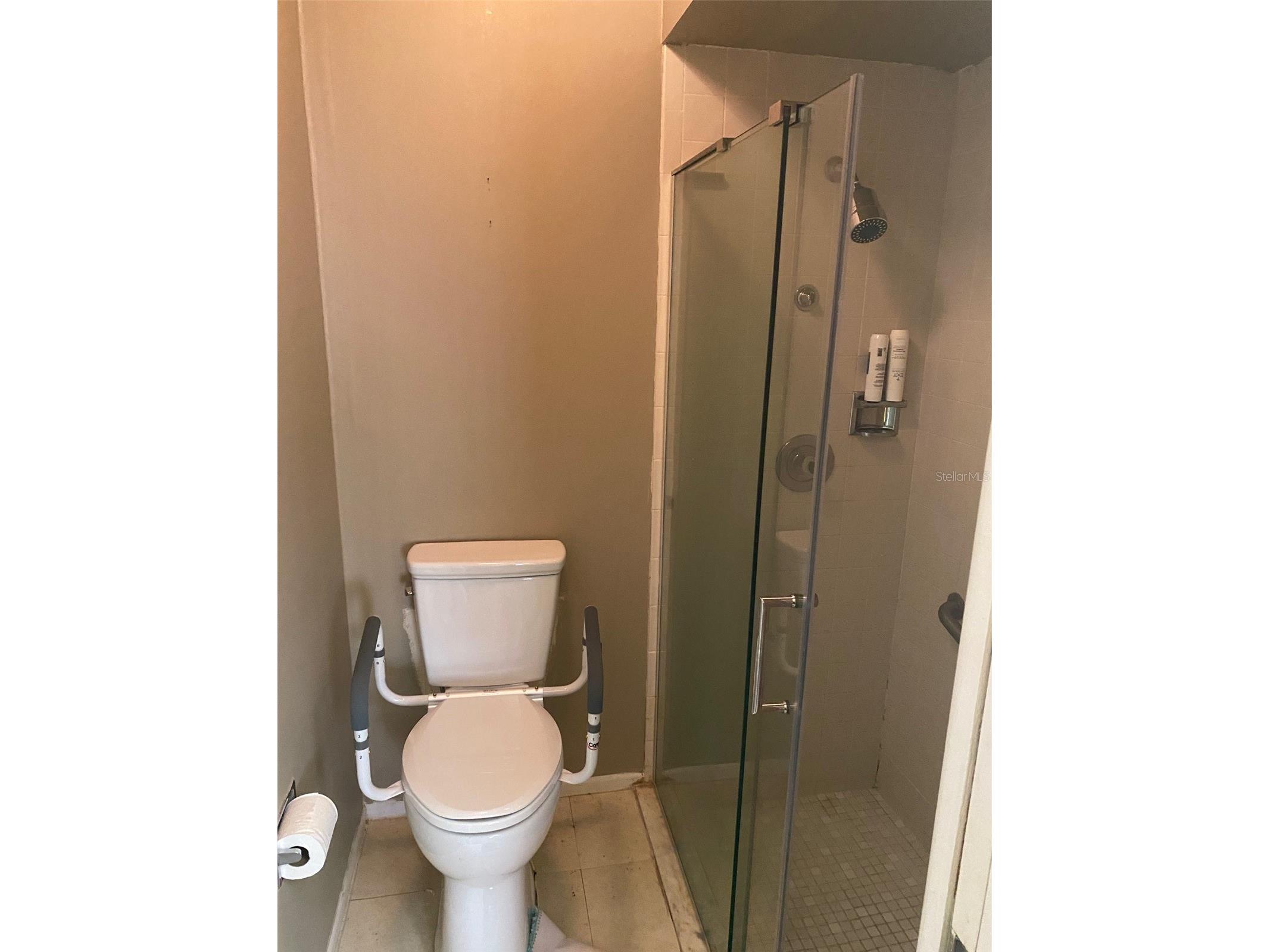 12539 Greylock Lane #12539 Hudson FL 34667 - Bear Creek W7885142 image13