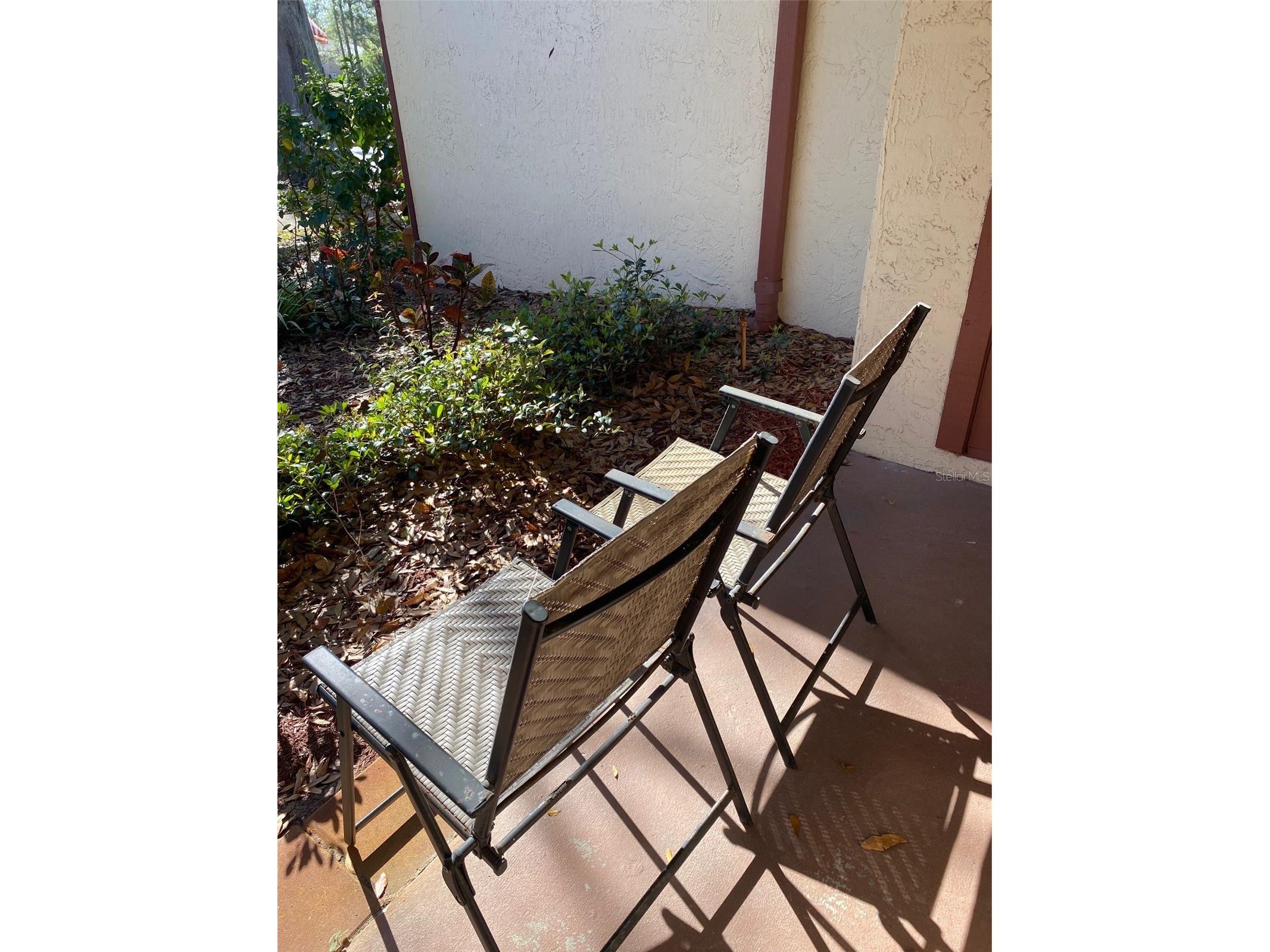 12539 Greylock Lane #12539 Hudson FL 34667 - Bear Creek W7885142 image5