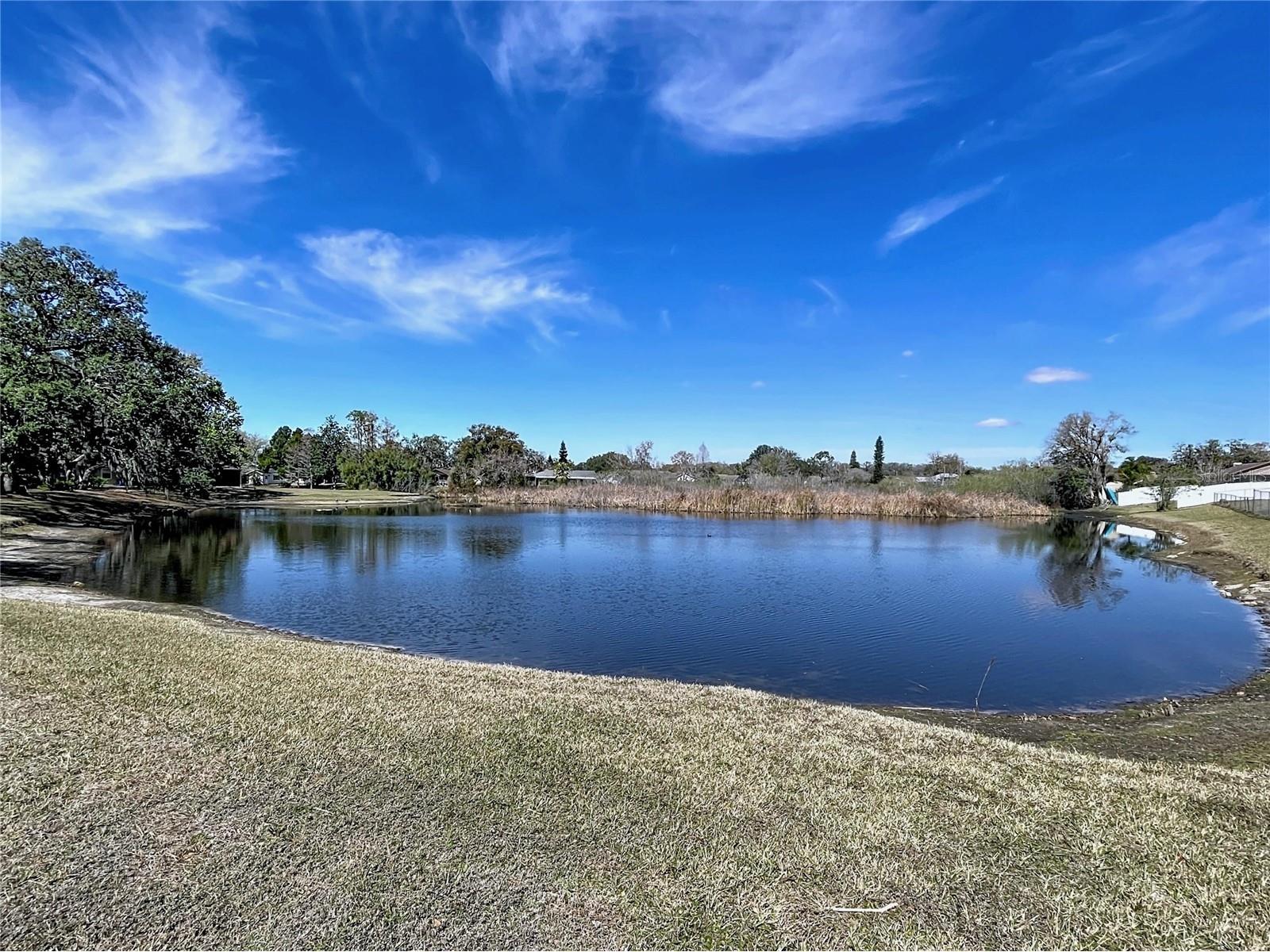 12539 Knollbrook Lane Hudson FL 34669 TB8476167 image5