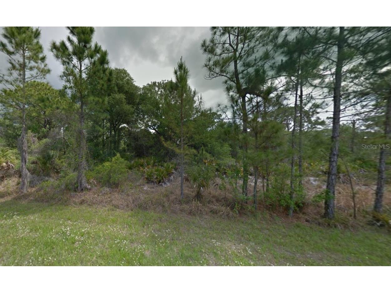 1254 Casper Street Port Charlotte FL 33953 D6145247 image1