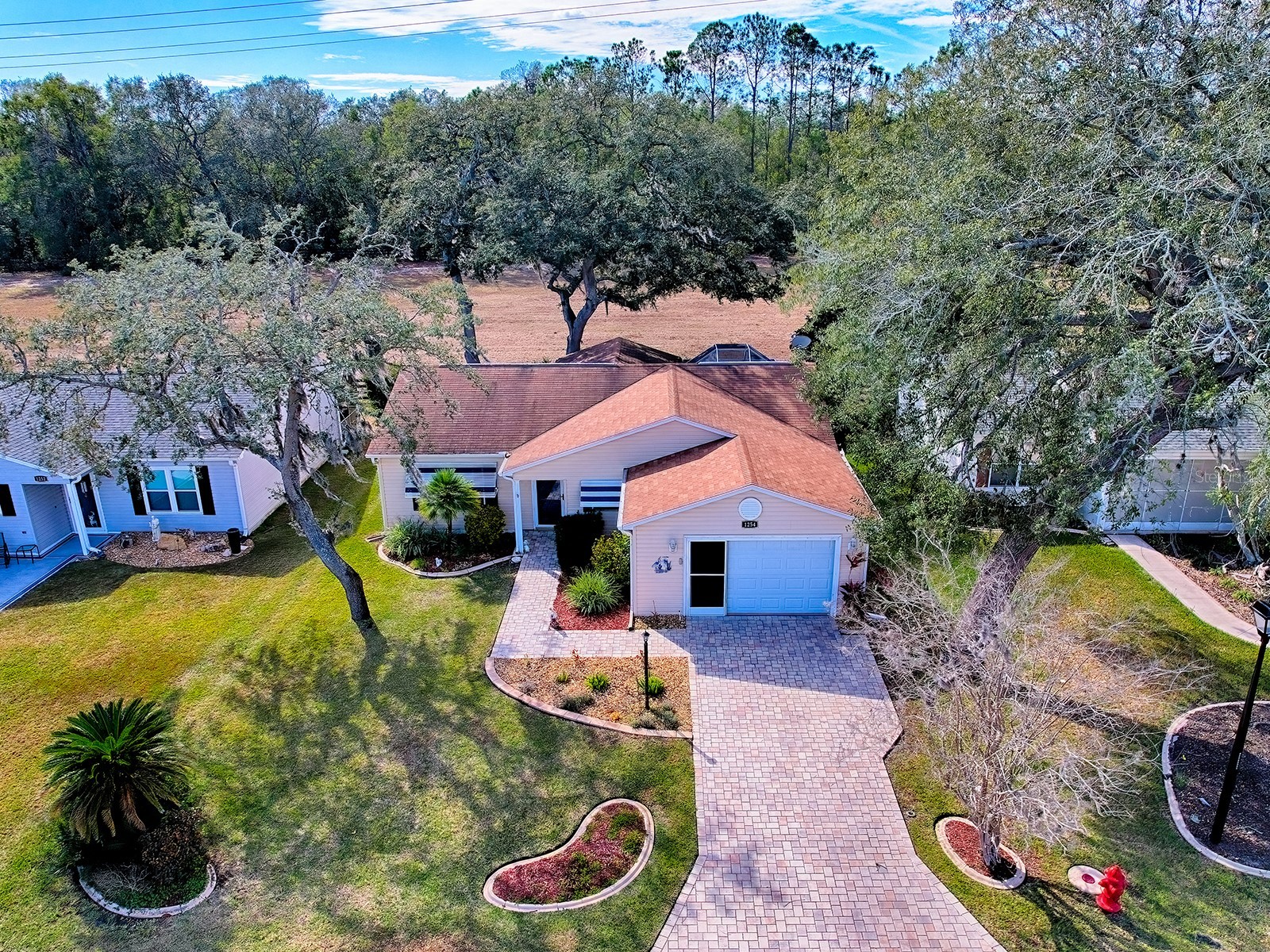 1254 Chaparral Drive The Villages FL 32159 G5107243 image33