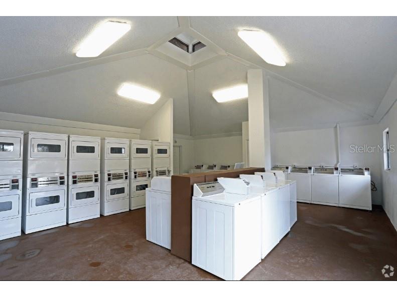 1254 E 113th Avenue #C115 Tampa FL 33612 TB8447999 image6