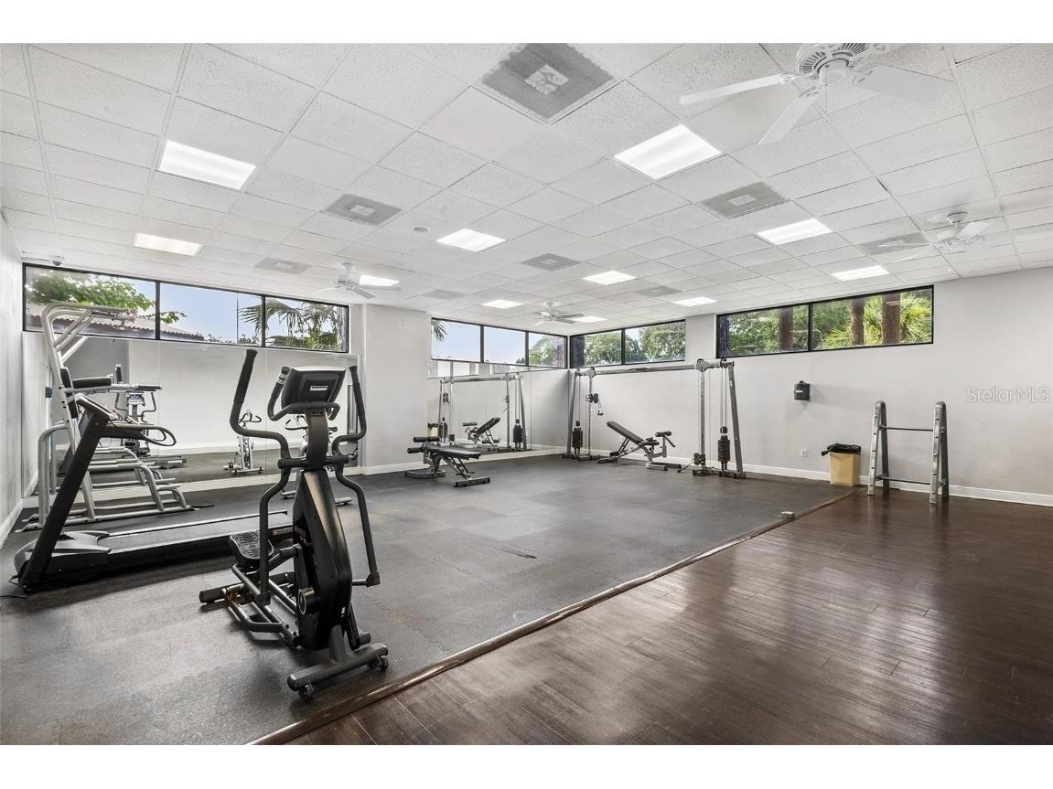 1254 E 113th Avenue #C115 Tampa FL 33612 TB8447999 image7