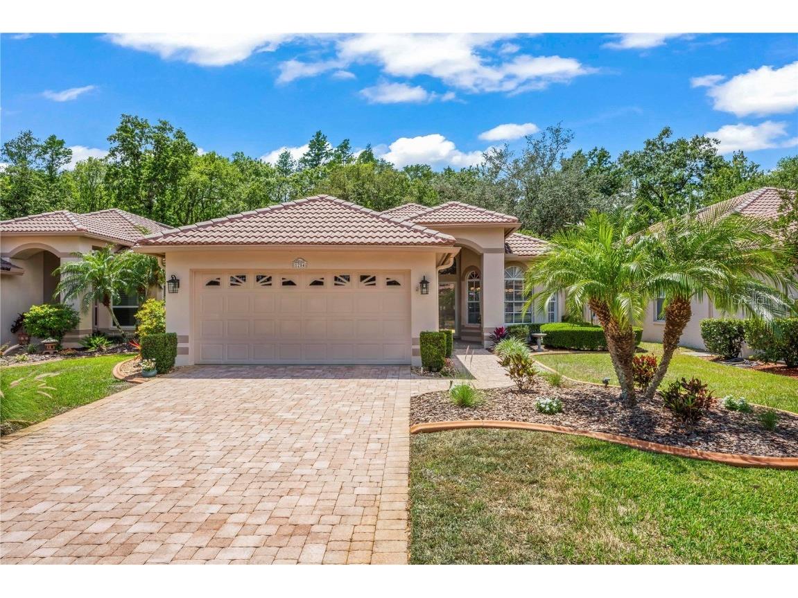 1254 Lindenwood Drive Tarpon Springs FL 34688 T3439467 image1