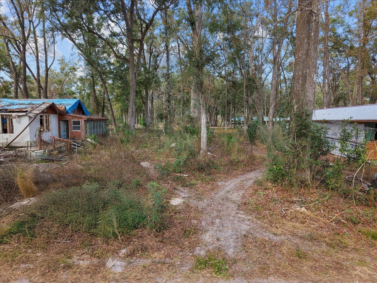 1254 NE 143rd Avenue Old Town FL 32680 GC536089 image1