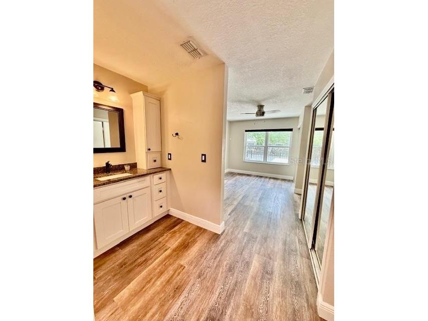 1254 Sophie Boulevard Orlando FL 32828 S5146727 image27