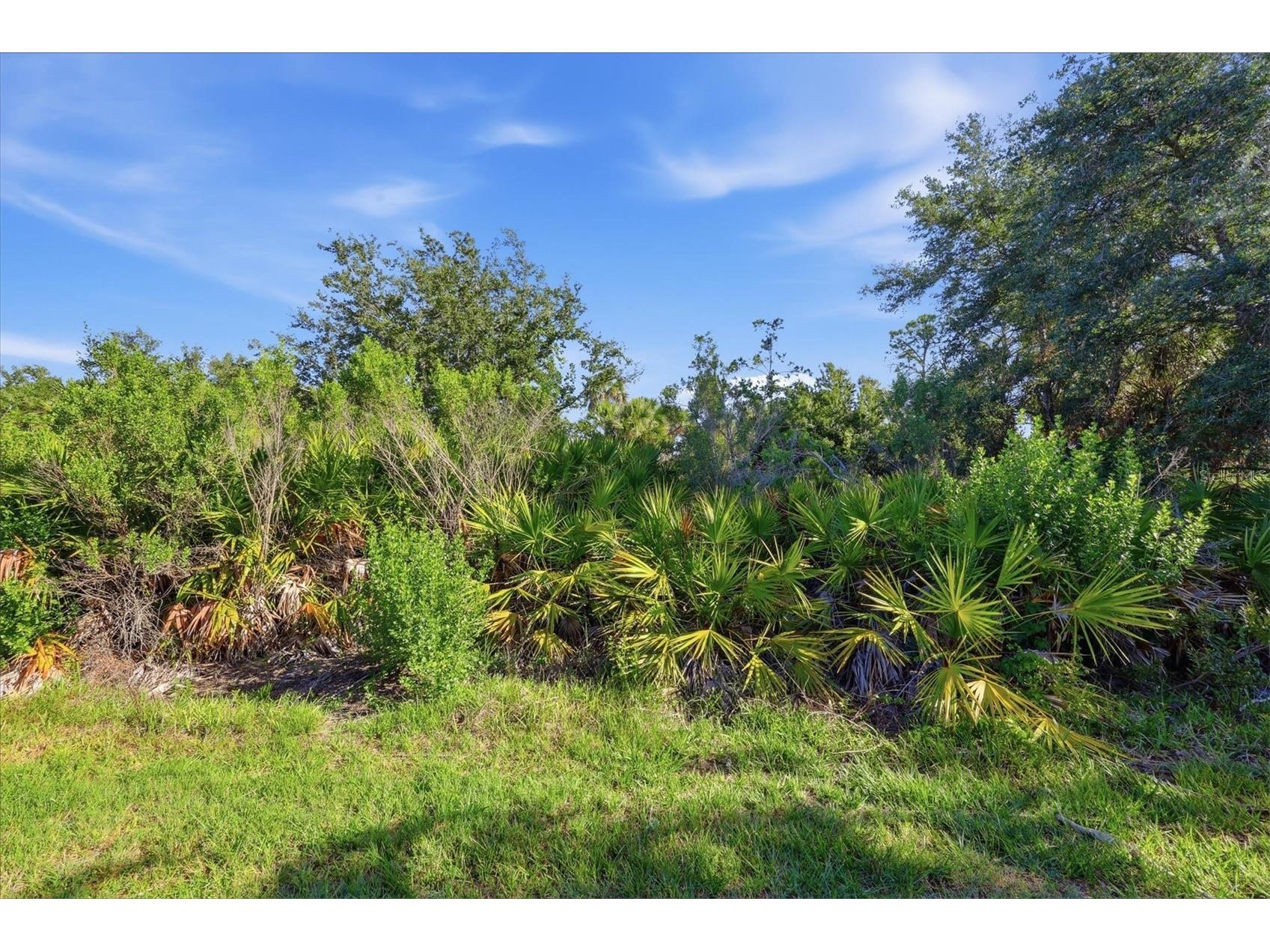 12540 Canavese Lane Venice FL 34293 N6144463 image60