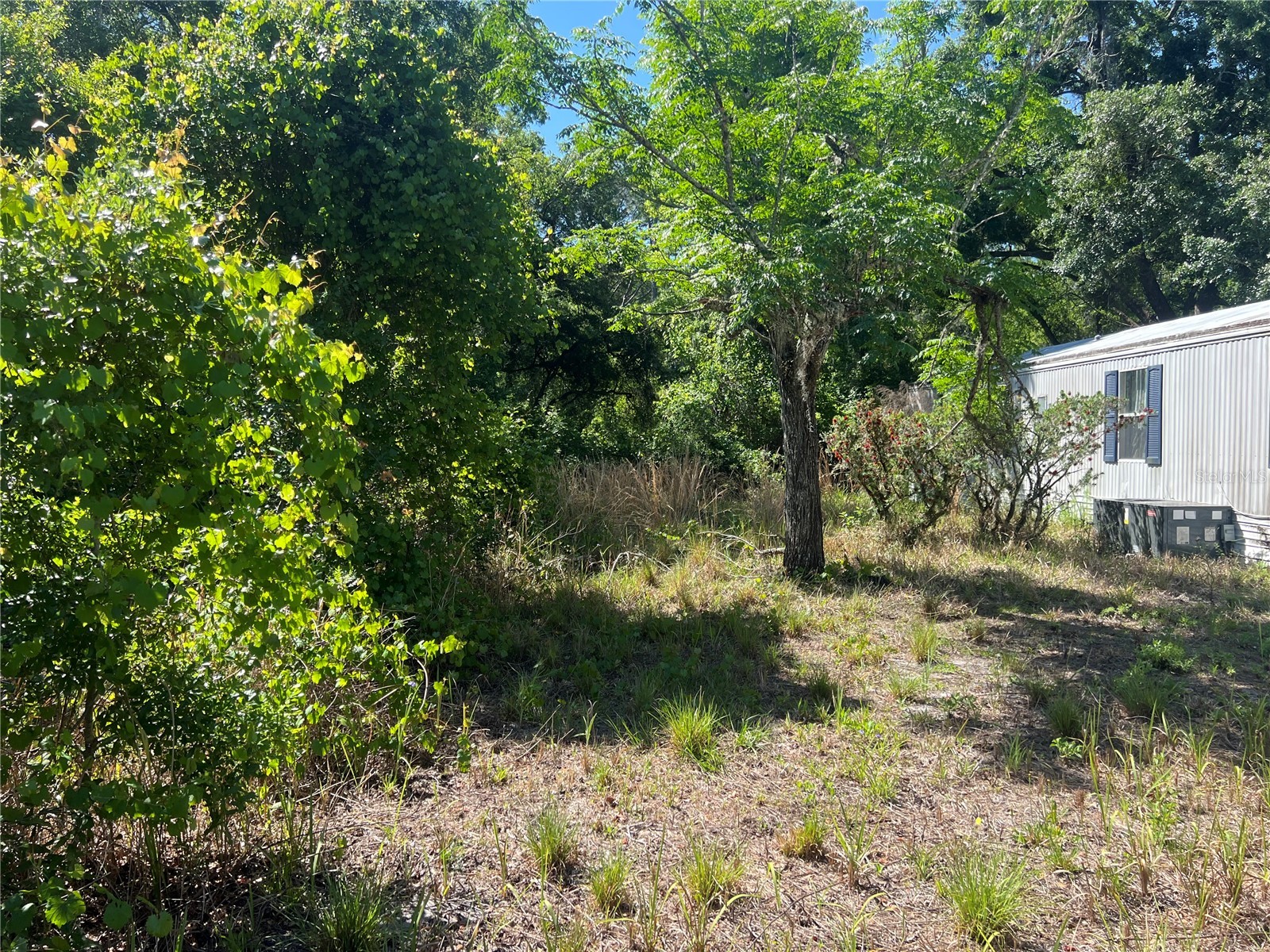 12540 Gurnee Avenue New Port Richey FL 34654 TB8498630 image11