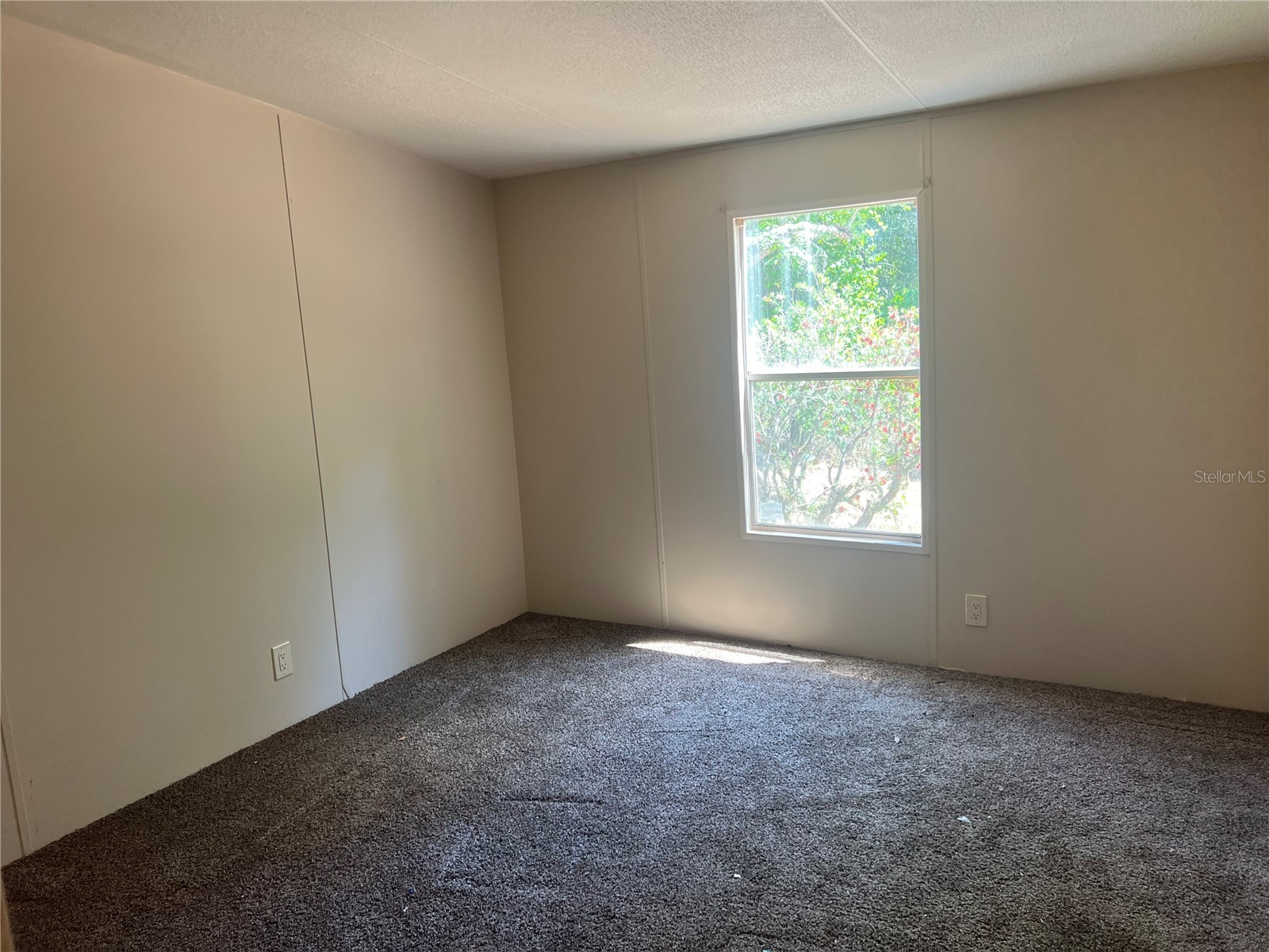12540 Gurnee Avenue New Port Richey FL 34654 TB8498630 image19