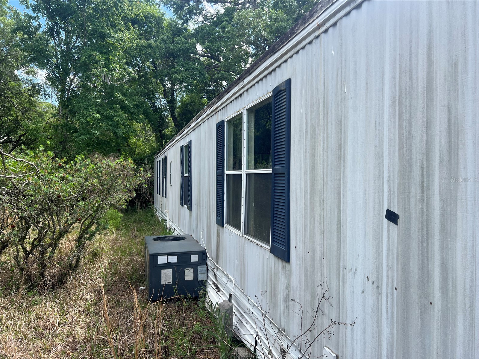 12540 Gurnee Avenue New Port Richey FL 34654 TB8498630 image7