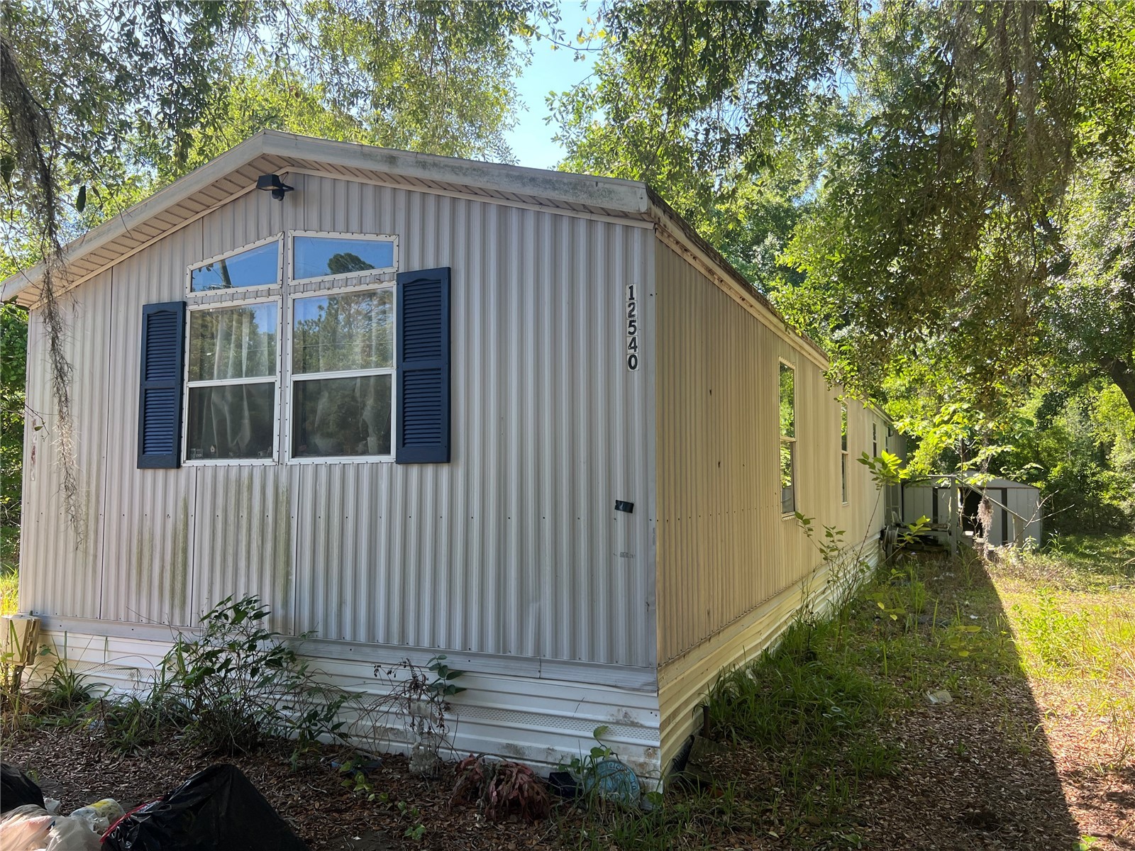12540 Gurnee Avenue New Port Richey FL 34654 TB8498630 image9