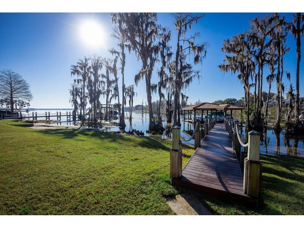 12540 Park Avenue Windermere FL 34786 - LAKE BUTLER O6381869 image17