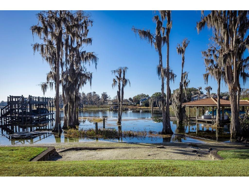 12540 Park Avenue Windermere FL 34786 - LAKE BUTLER O6381869 image43