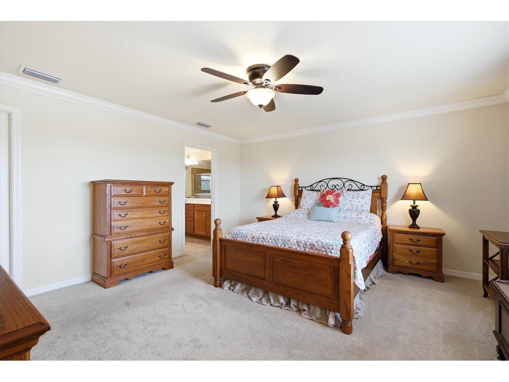 12541 Cinqueterre Drive Venice FL 34293 N6144049 image27