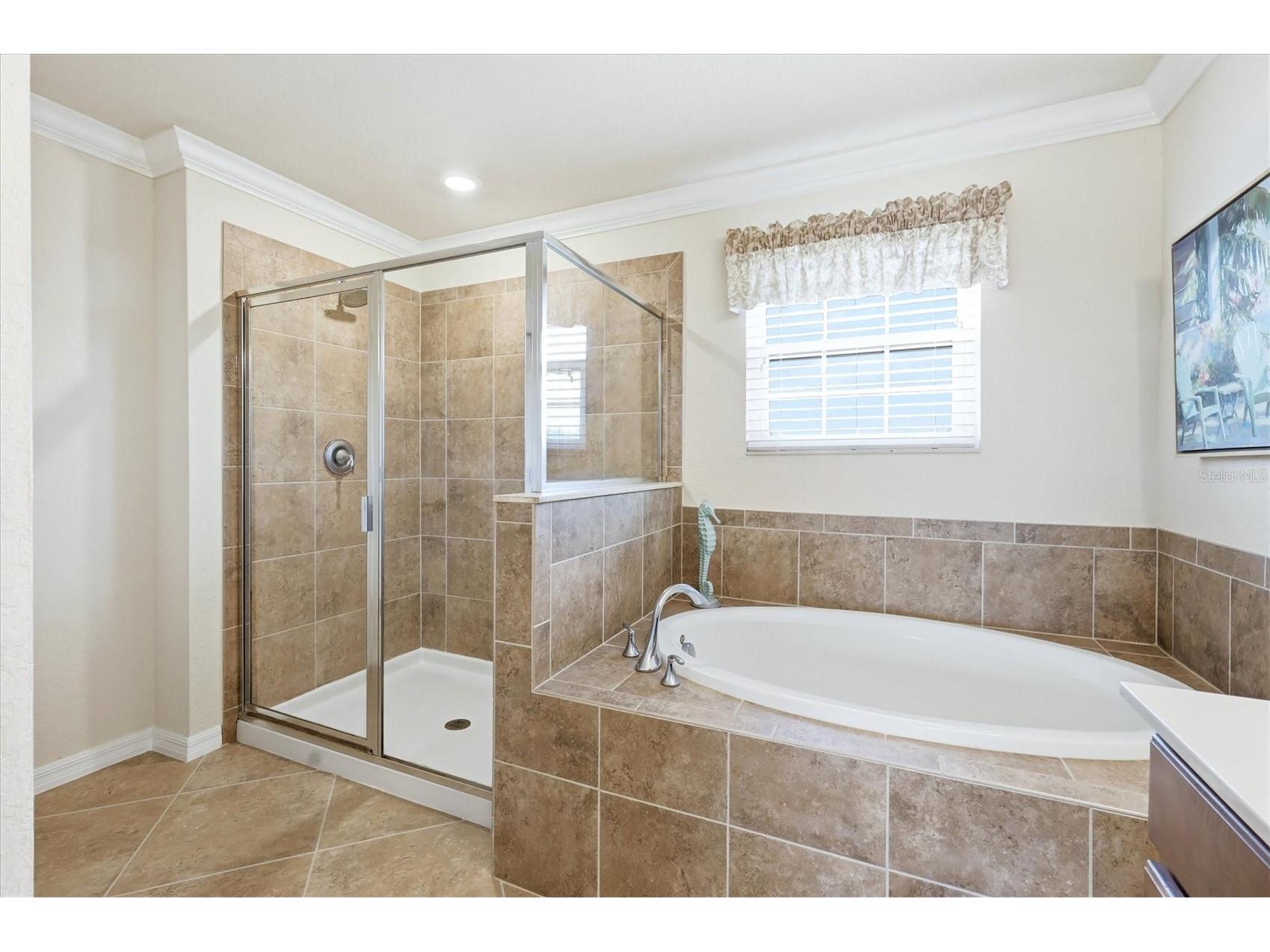 12541 Cinqueterre Drive Venice FL 34293 N6144049 image29
