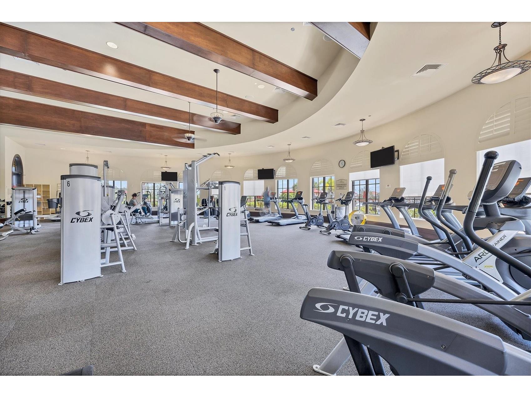 12541 Cinqueterre Drive Venice FL 34293 N6144049 image85