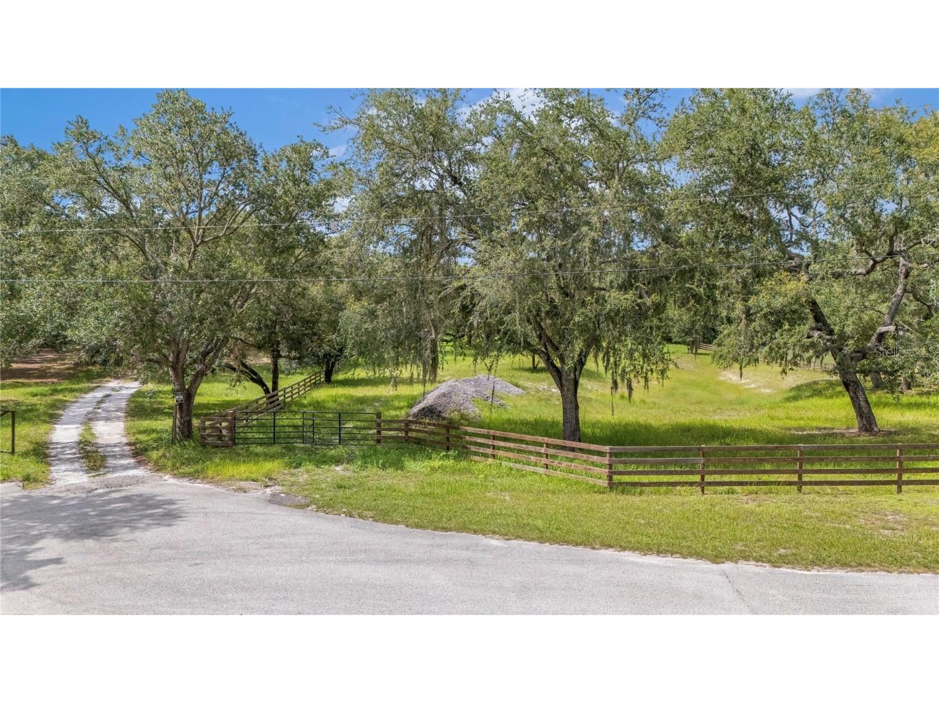 12541 Little Pete Hudson FL 34669 TB8406089 image1