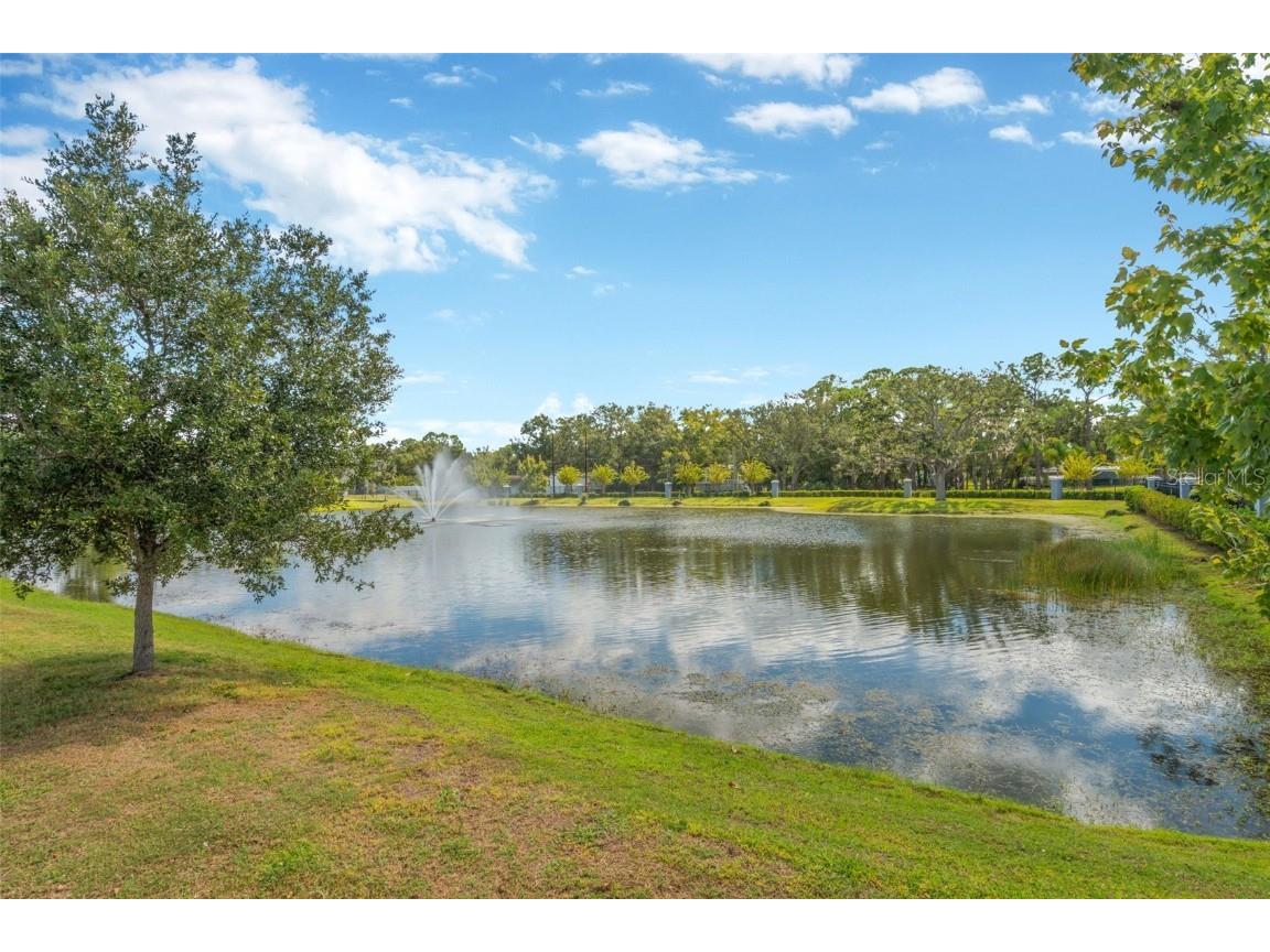 12542 Candleberry Circle Tampa FL 33635 TB8440730 image6