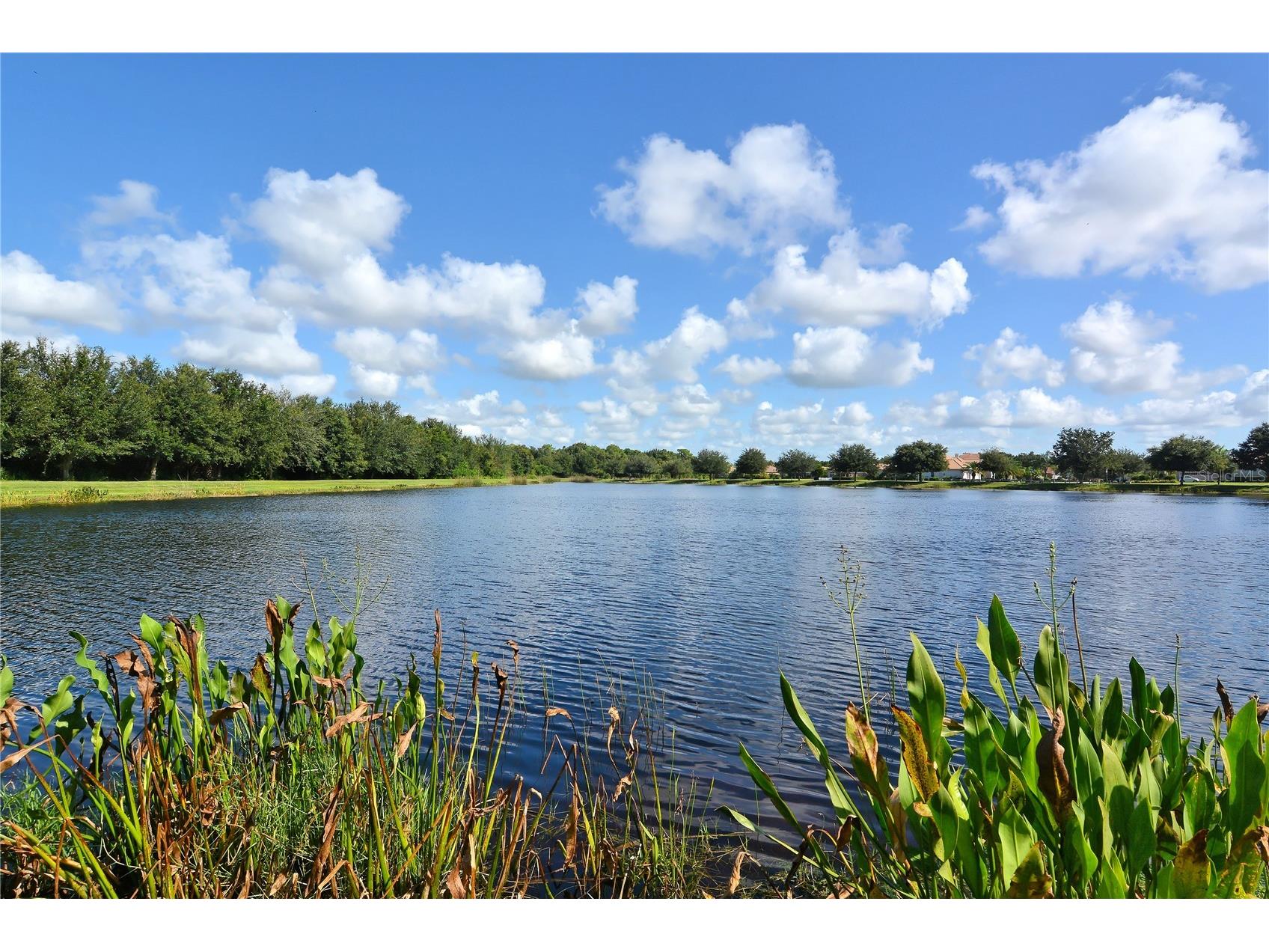 12543 Natureview Circle Bradenton FL 34212 A4679037 image70