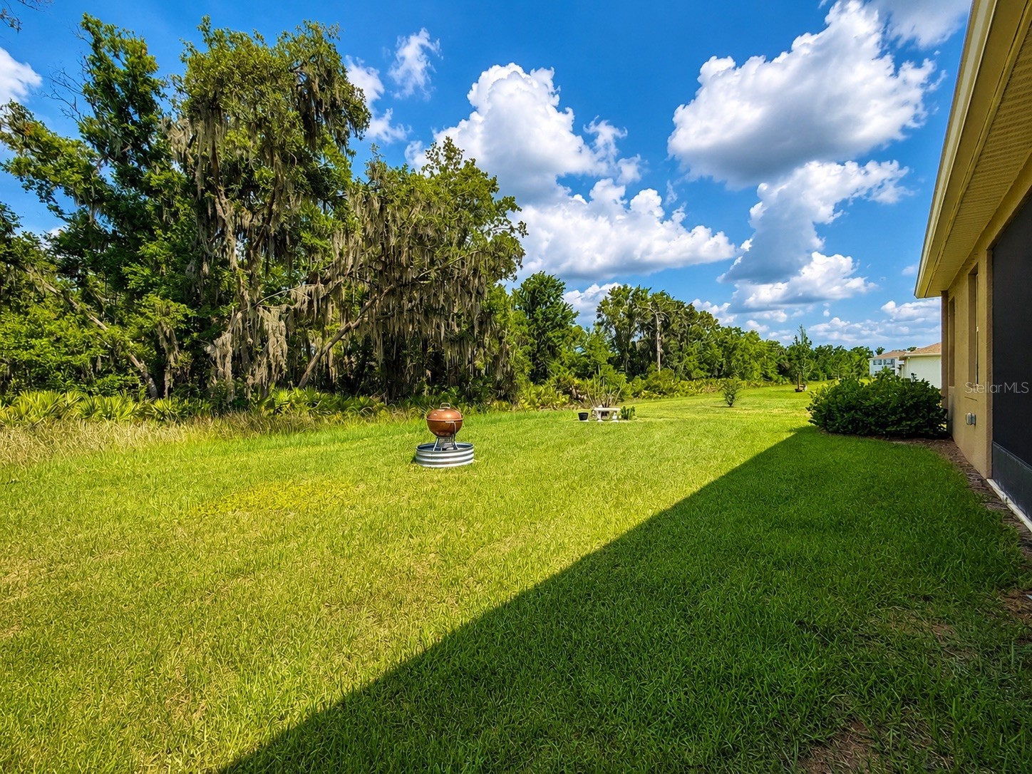12544 Shining Willow Street Riverview FL 33579 O6417811 image31
