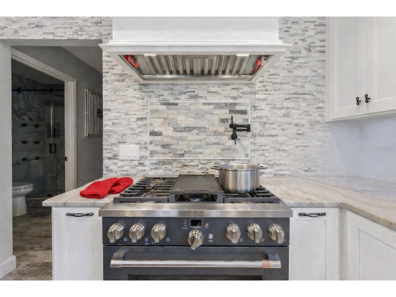 12545 S Putney Court Leesburg FL 34788 - LAKE EUSTIS/HARRIS CHAIN G5106191 image19
