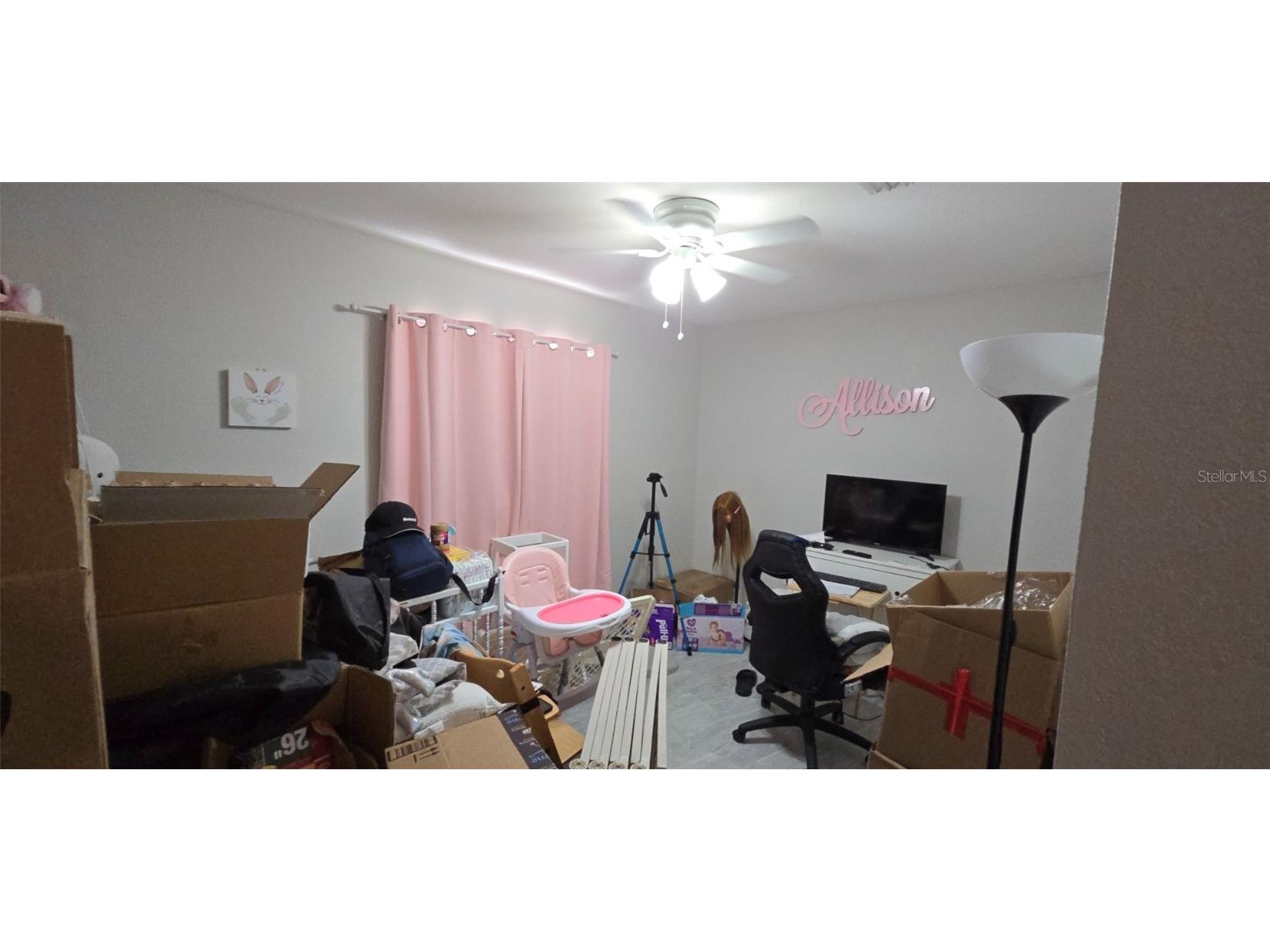 12546 Abbey Drive Dade City FL 33525 TB8448150 image19