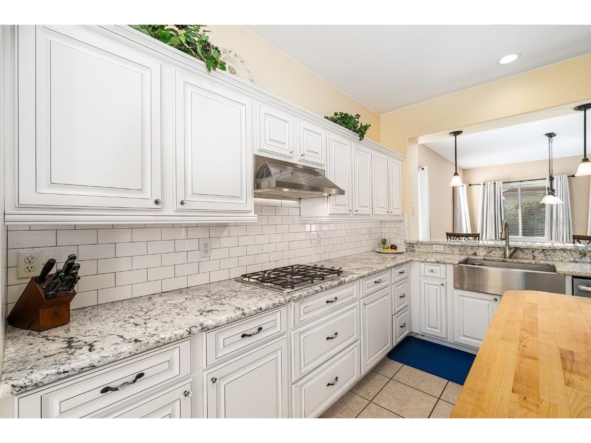 12546 SE 92nd Terrace Summerfield FL 34491 OM712768 image15